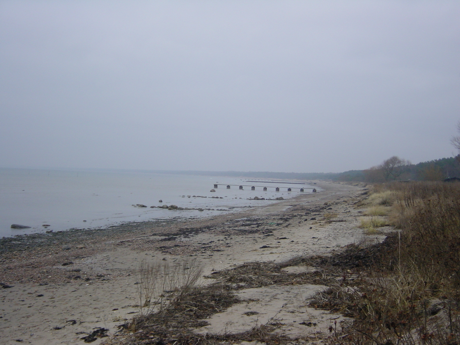 照片 瑞典(Sweden) 博斯塔德(Bastad) 2003-01 8