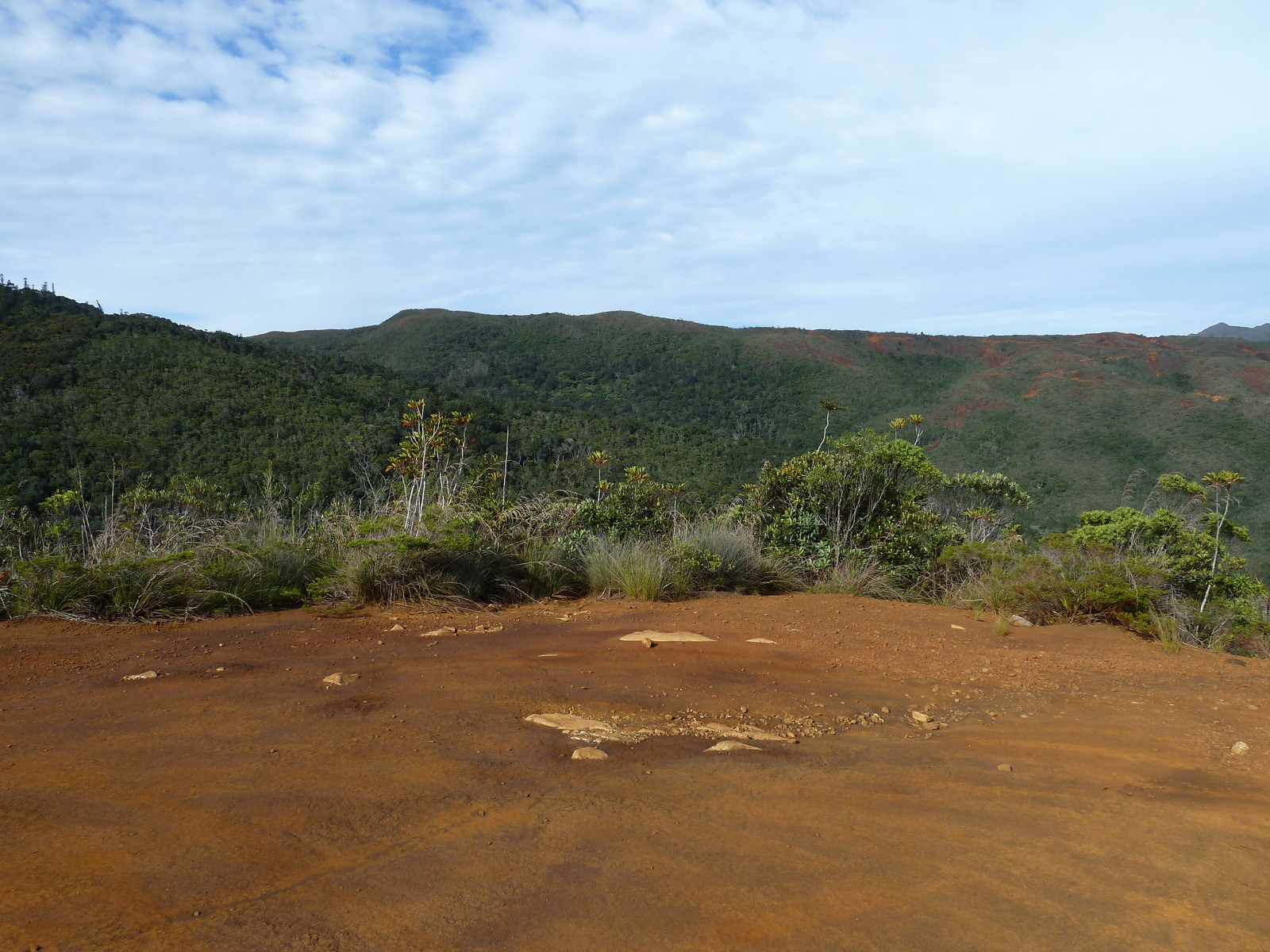 照片 新喀里多尼亚(New Caledonia) 蓝河公园(Parc de la Riviere Bleue) 2010-05 121