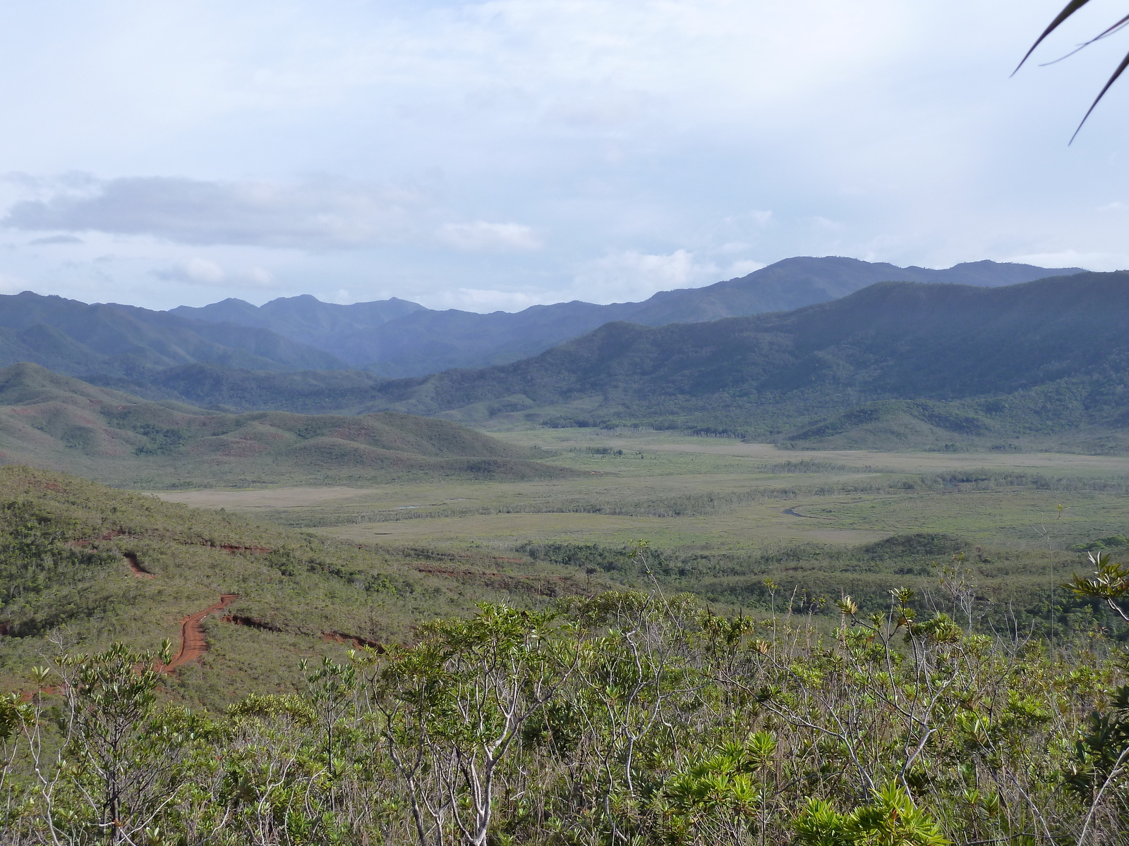照片 新喀里多尼亚(New Caledonia) 蓝河公园(Parc de la Riviere Bleue) 2010-05 140