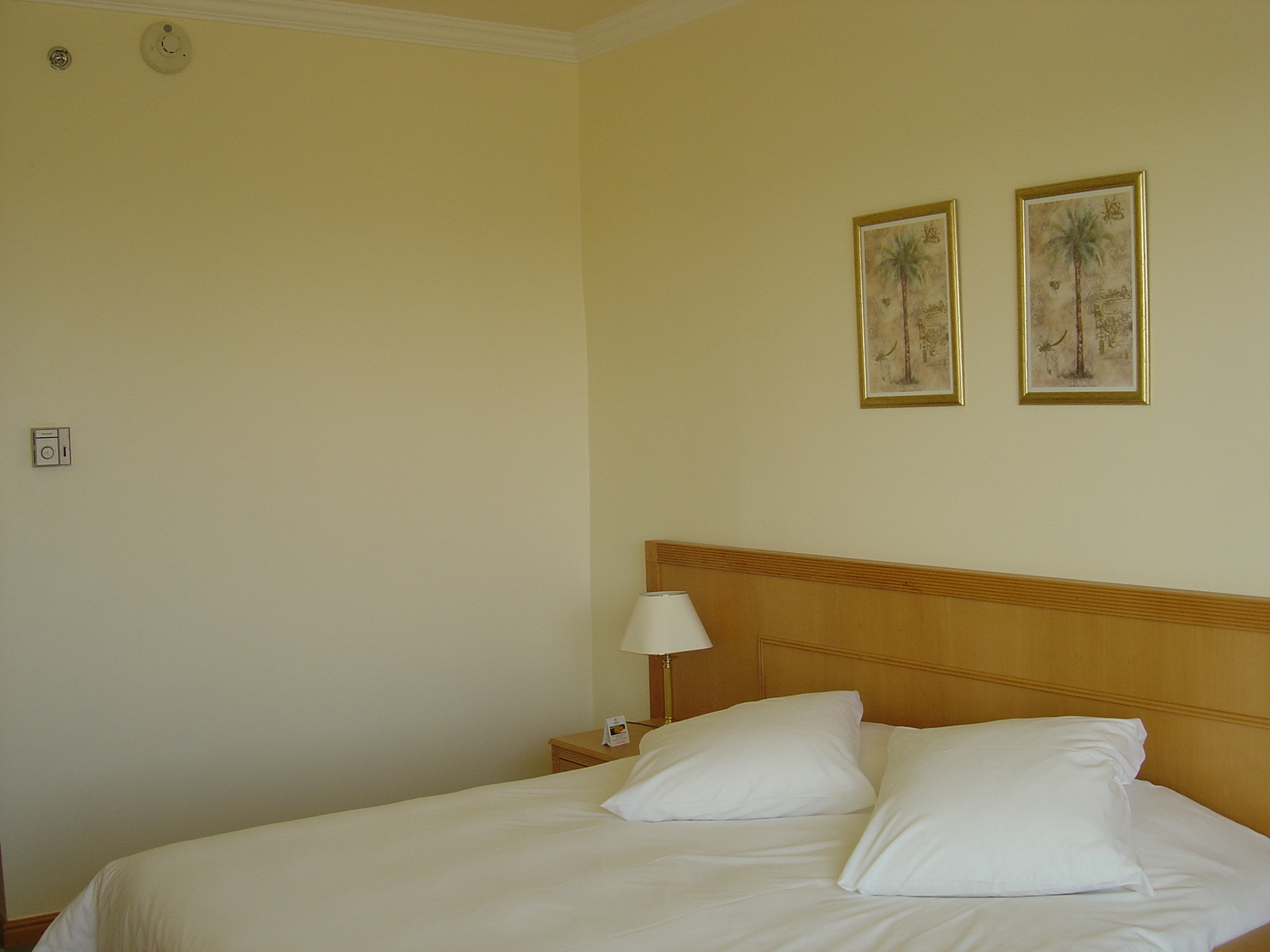 照片 阿联酋(United Arab Emirates) 艾因(Al Ain) 希尔顿酒店(Hilton Hotel) 2005-03 4