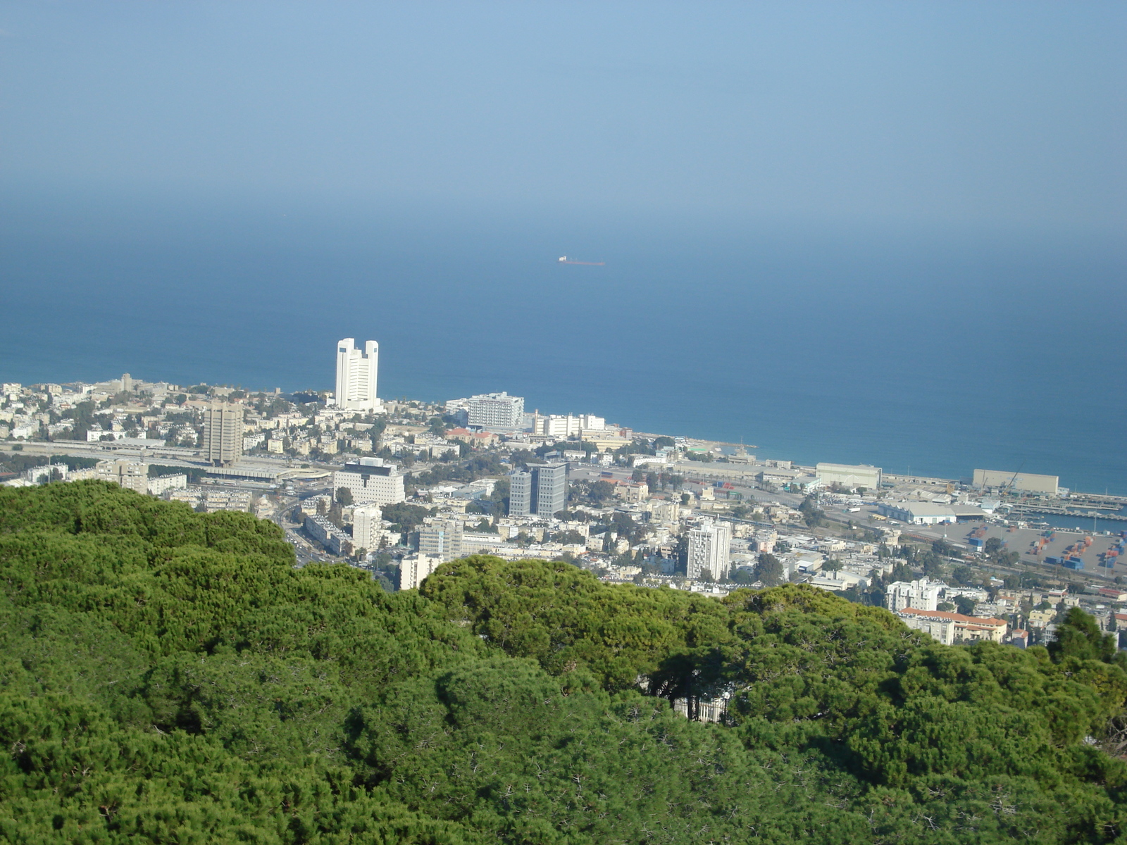 照片 以色列(Israel) 海法(Haifa) 丹卡梅尔酒店(Dan Carmel Hotel) 2006-12 11