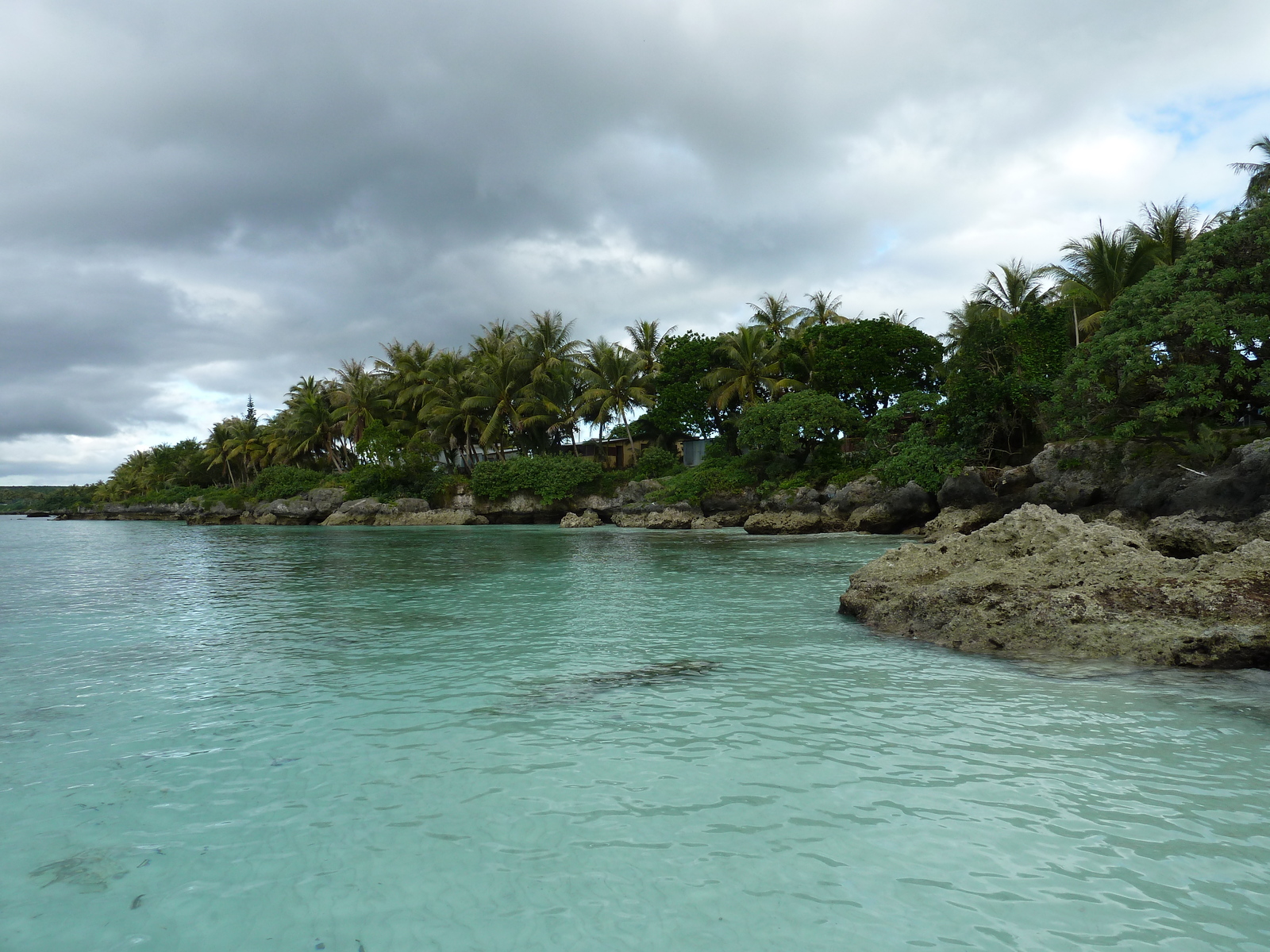 照片 新喀里多尼亚(New Caledonia) 利富岛(Lifou) 韦(We) 2010-05 7