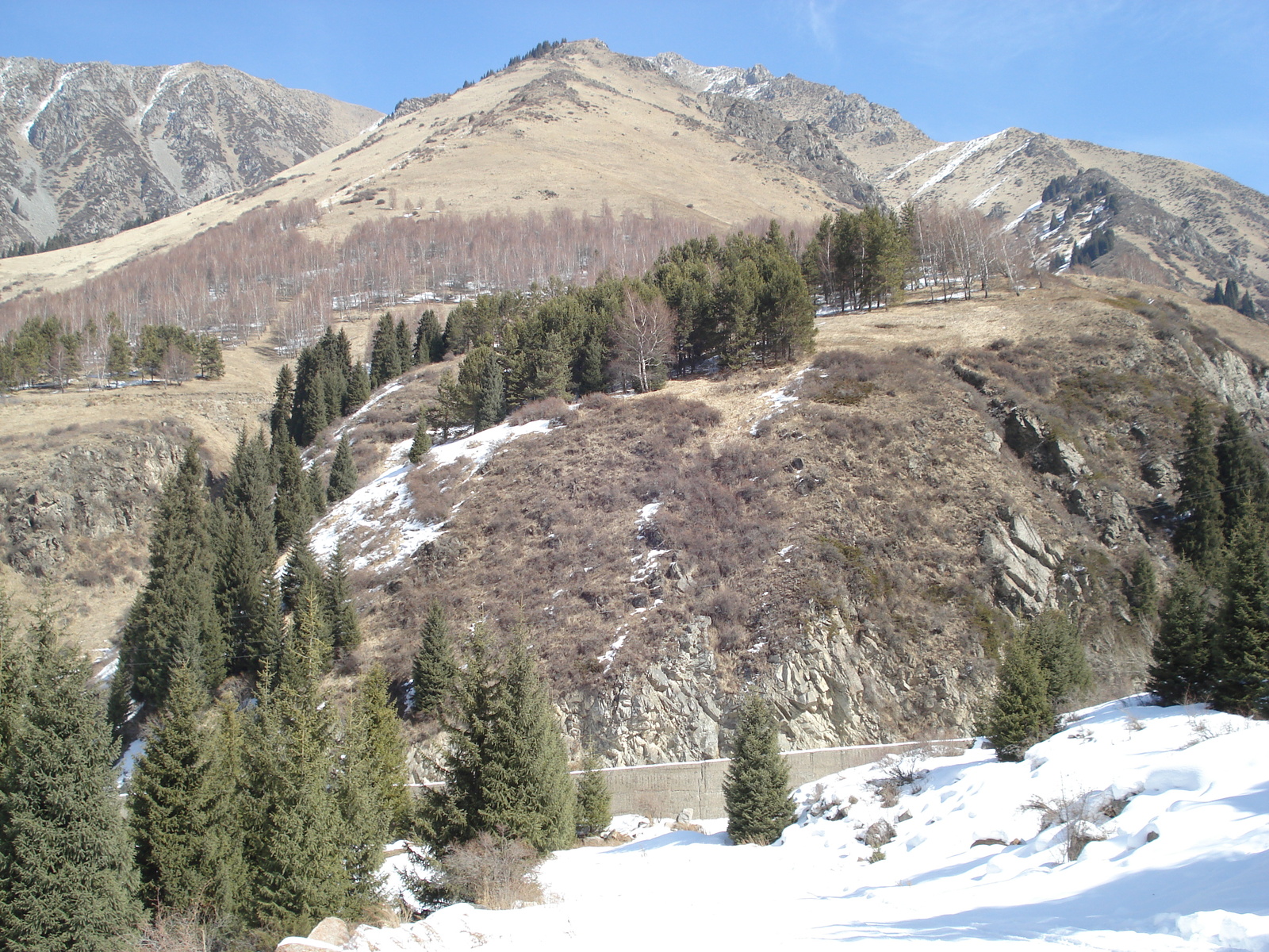 照片 哈萨克斯坦(Kazakhstan) 伊犁阿拉套国家公园(Ile Alatau National Park) 2007-03 83