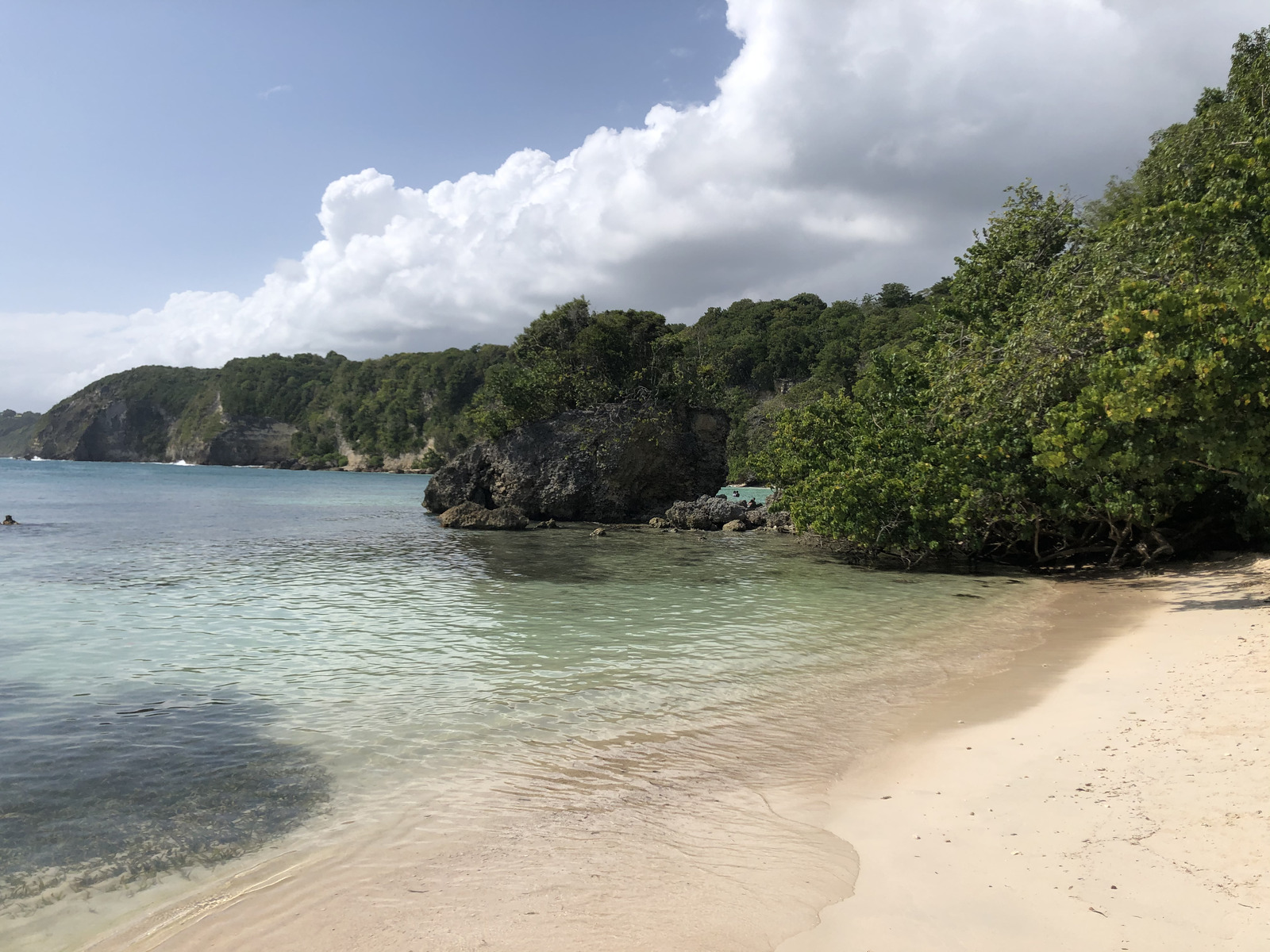 照片 瓜德罗普(Guadeloupe) 小阿弗尔海滩(Petit Havre Beach) 2021-02 16