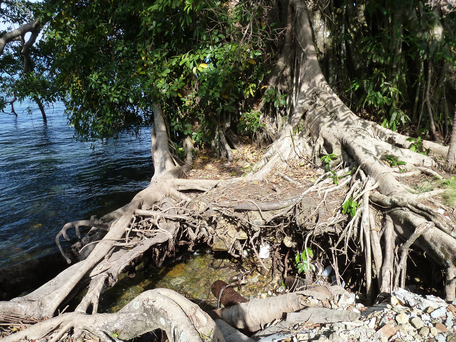 照片 泰国(Thailand) 象岛(Ko Chang) 2011-12 0