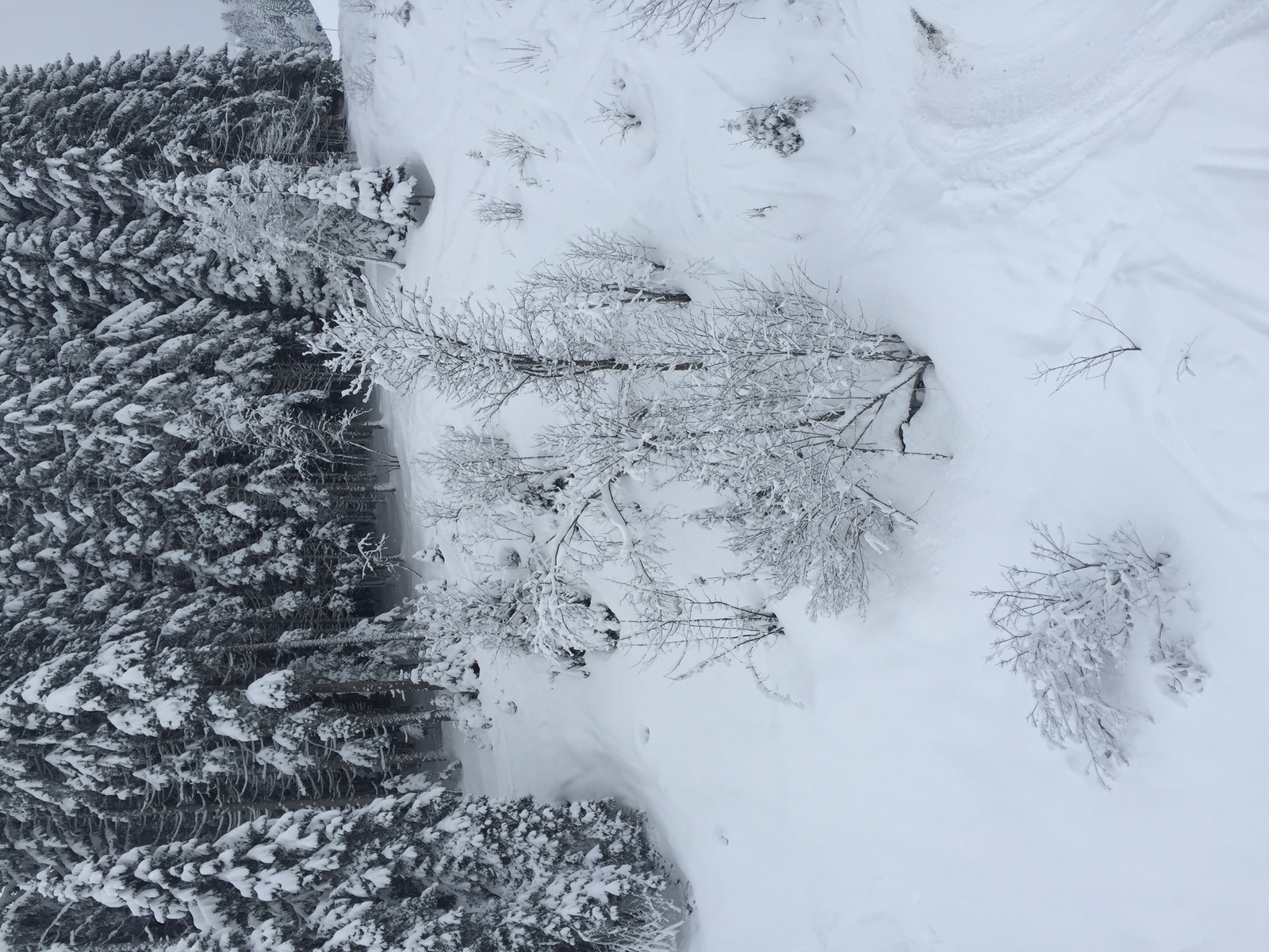 照片 法国(France) 梅杰夫(Megeve) 2016-02 9
