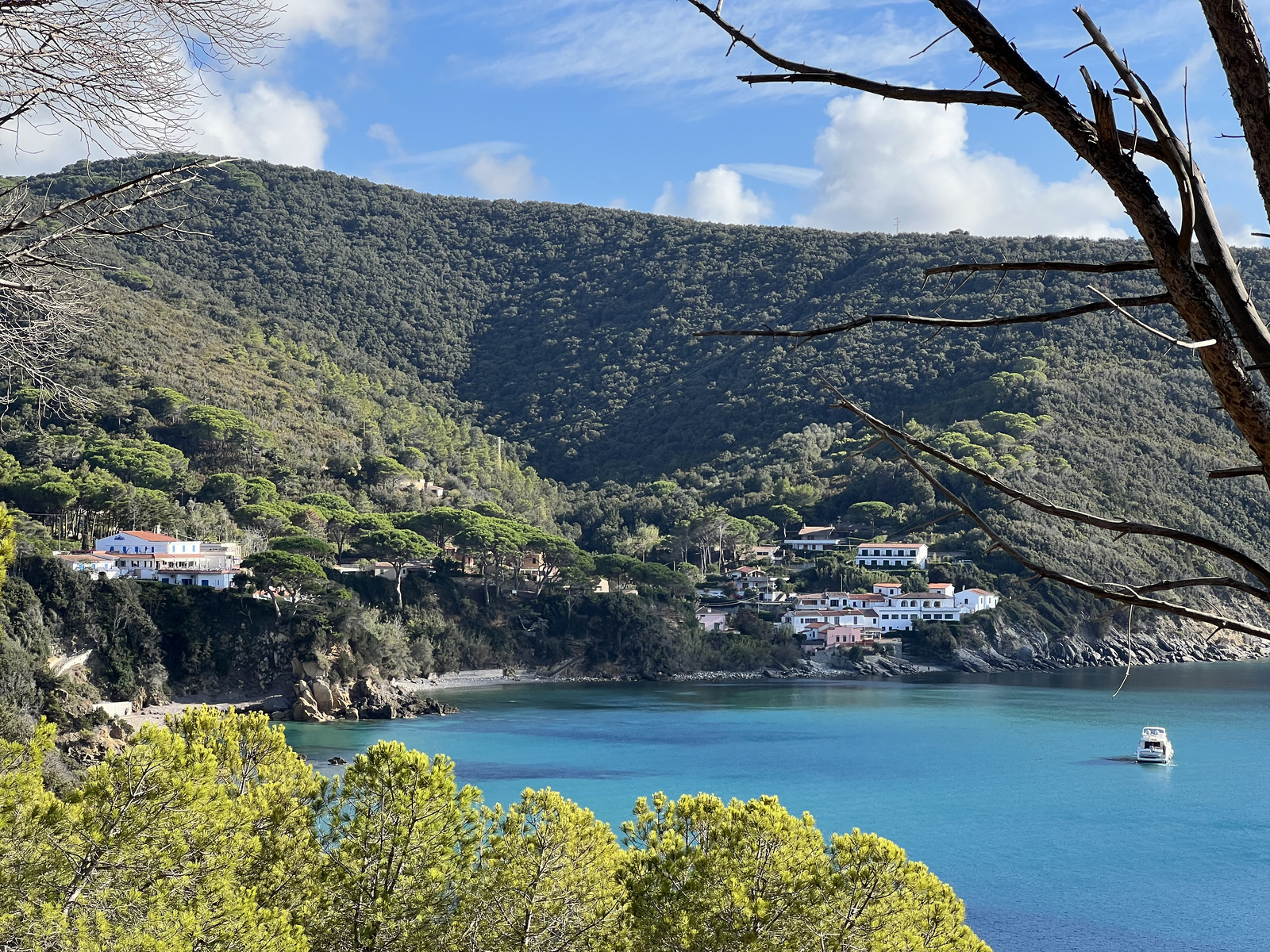 照片 意大利(Italy) 厄尔巴岛(Isola d'Elba) 2021-09 110