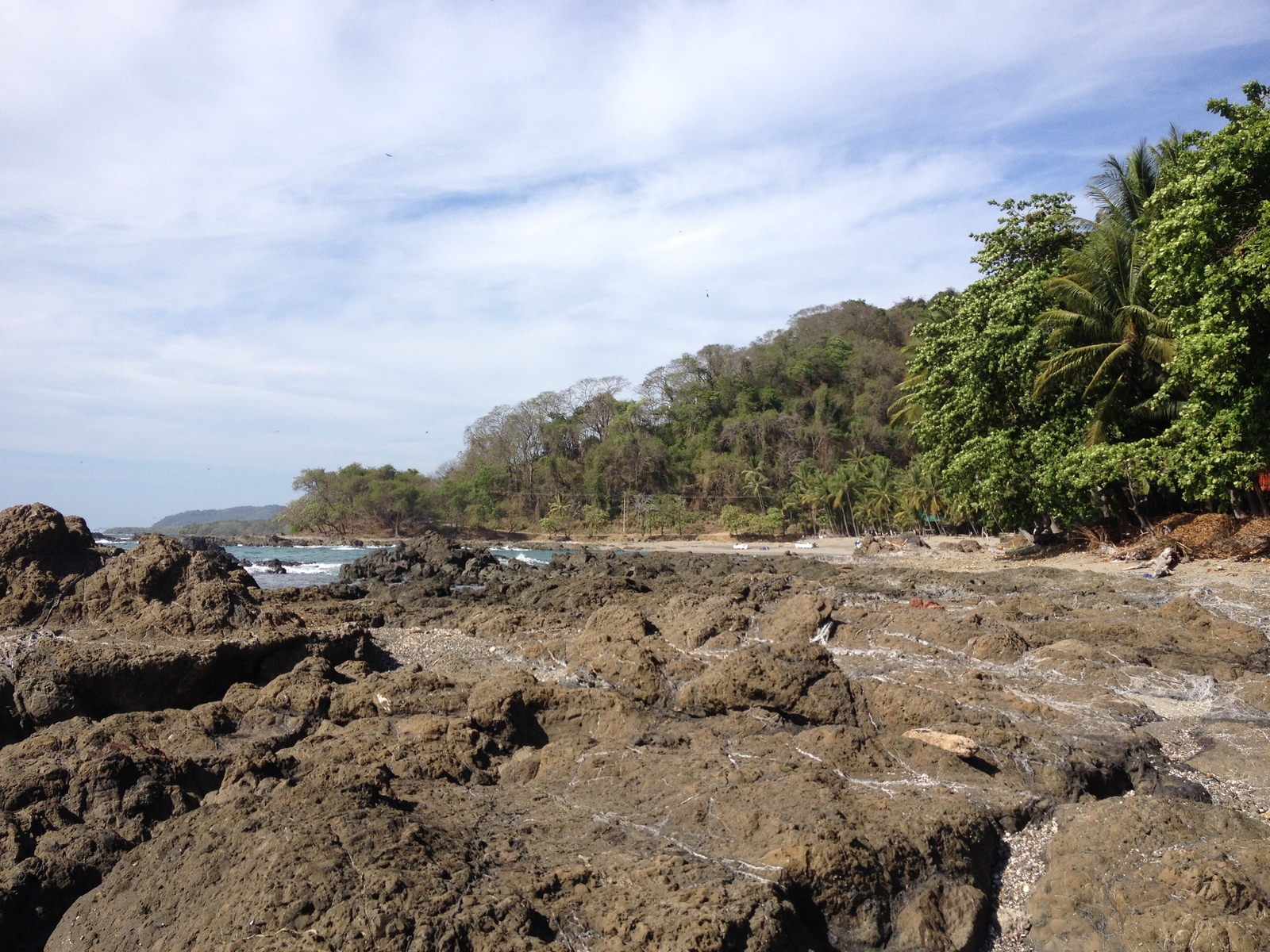 照片 哥斯达黎加(Costa Rica) 蒙特苏马(Montezuma) 2015-03 42