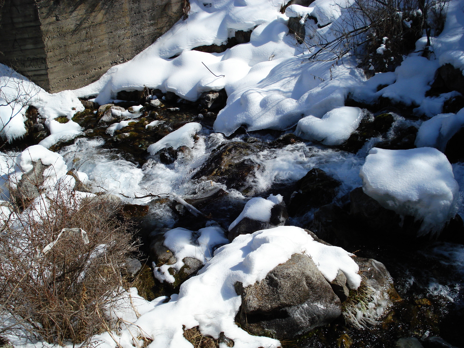 照片 哈萨克斯坦(Kazakhstan) 伊犁阿拉套国家公园(Ile Alatau National Park) 2007-03 40