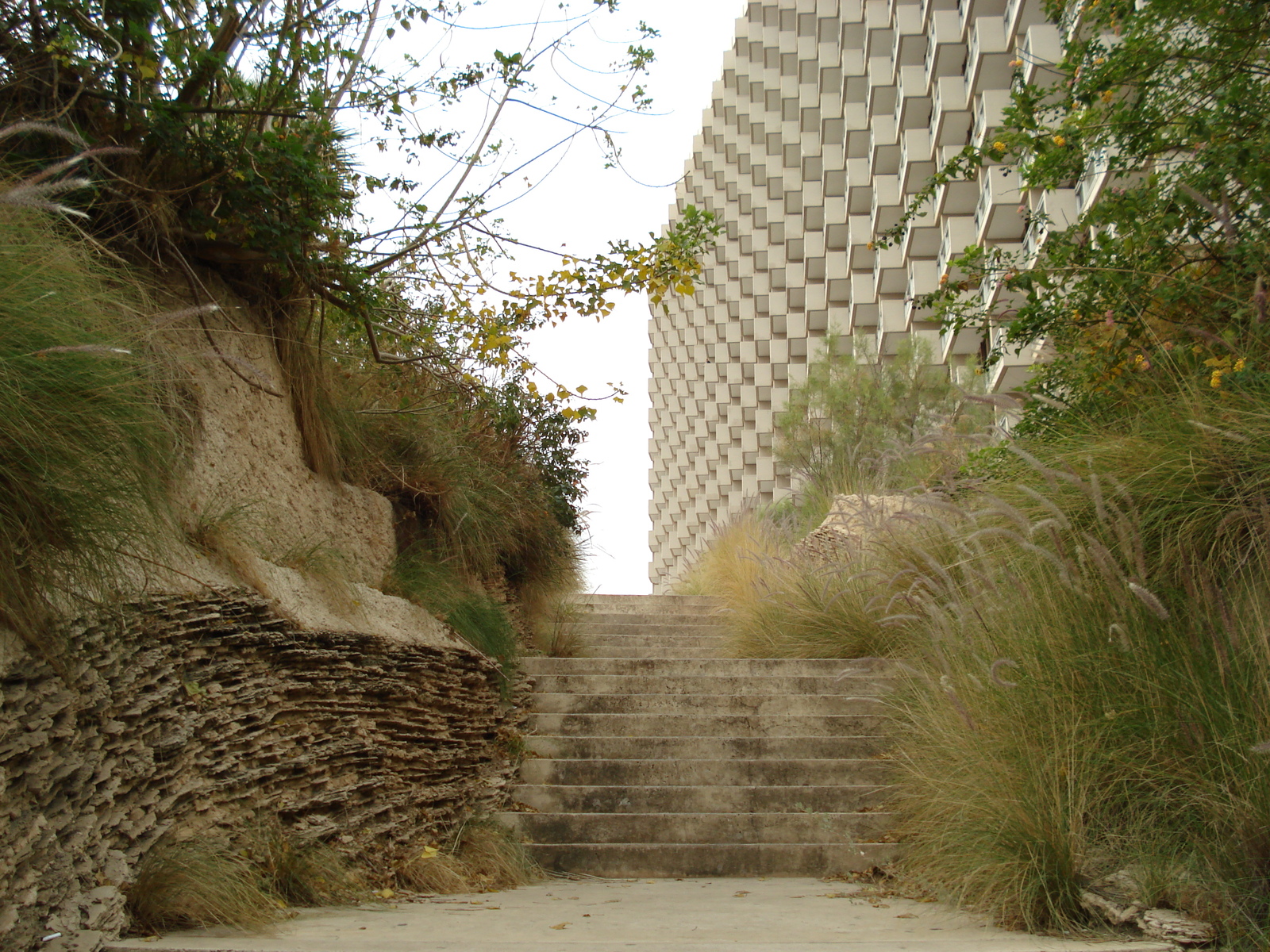 照片 以色列(Israel) 特拉维夫(Tel Aviv) 特拉维夫海岸(Tel Aviv Sea Shore) 2006-12 280