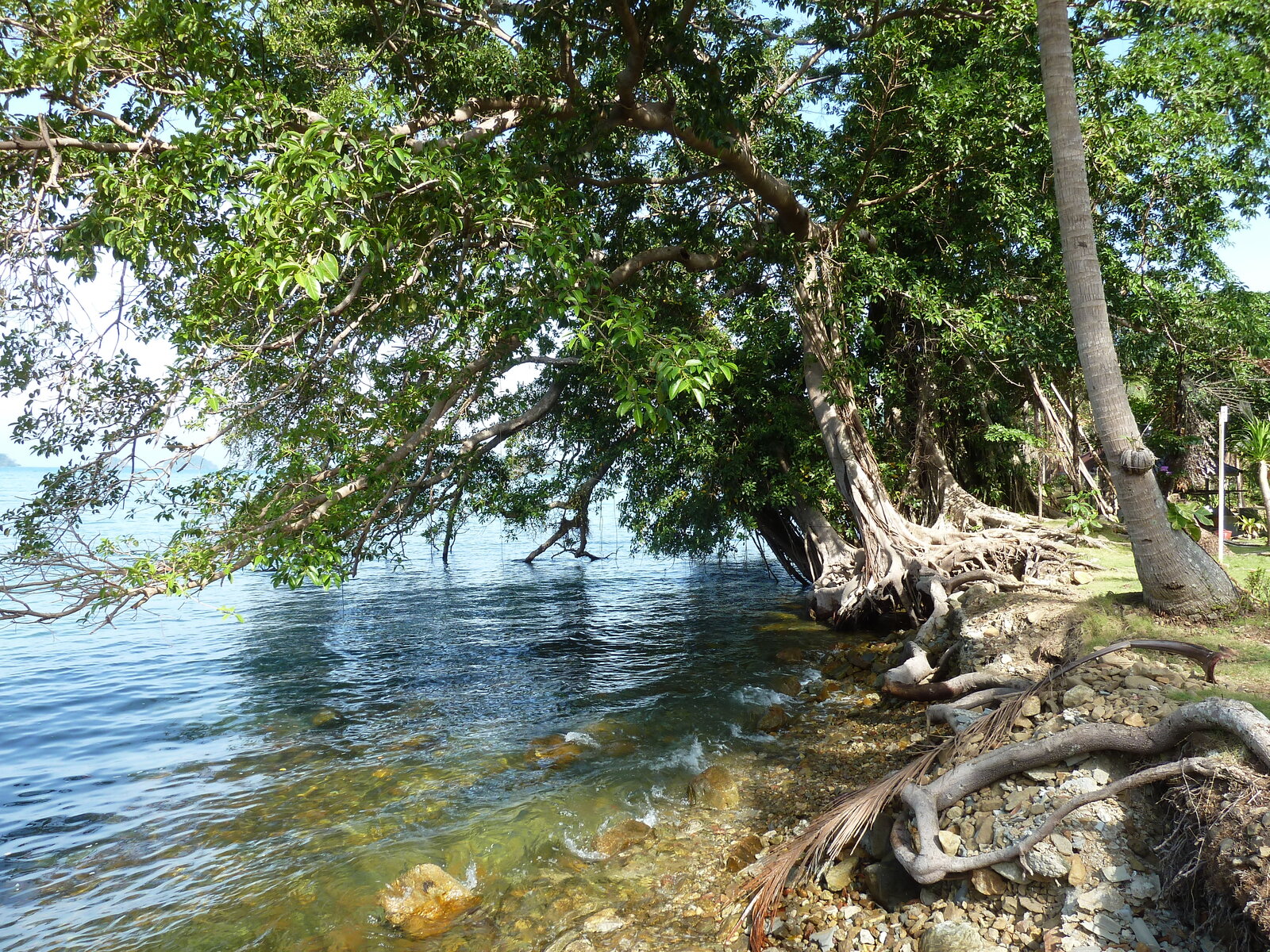 照片 泰国(Thailand) 象岛(Ko Chang) 2011-12 29