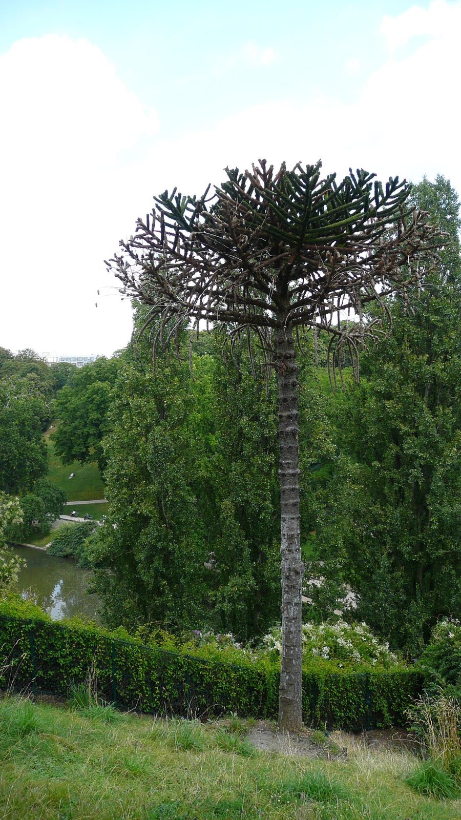 照片 法国(France) 巴黎(Paris) 肖蒙山丘公园(Parc des Buttes Chaumont) 2007-08 78
