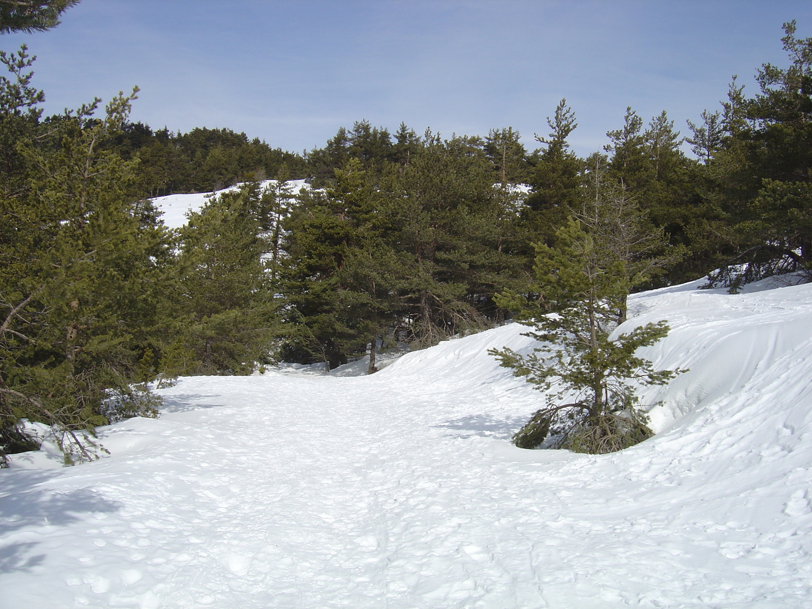 照片 法国(France) 格雷奥利耶(Greolieres) 2006-02 10