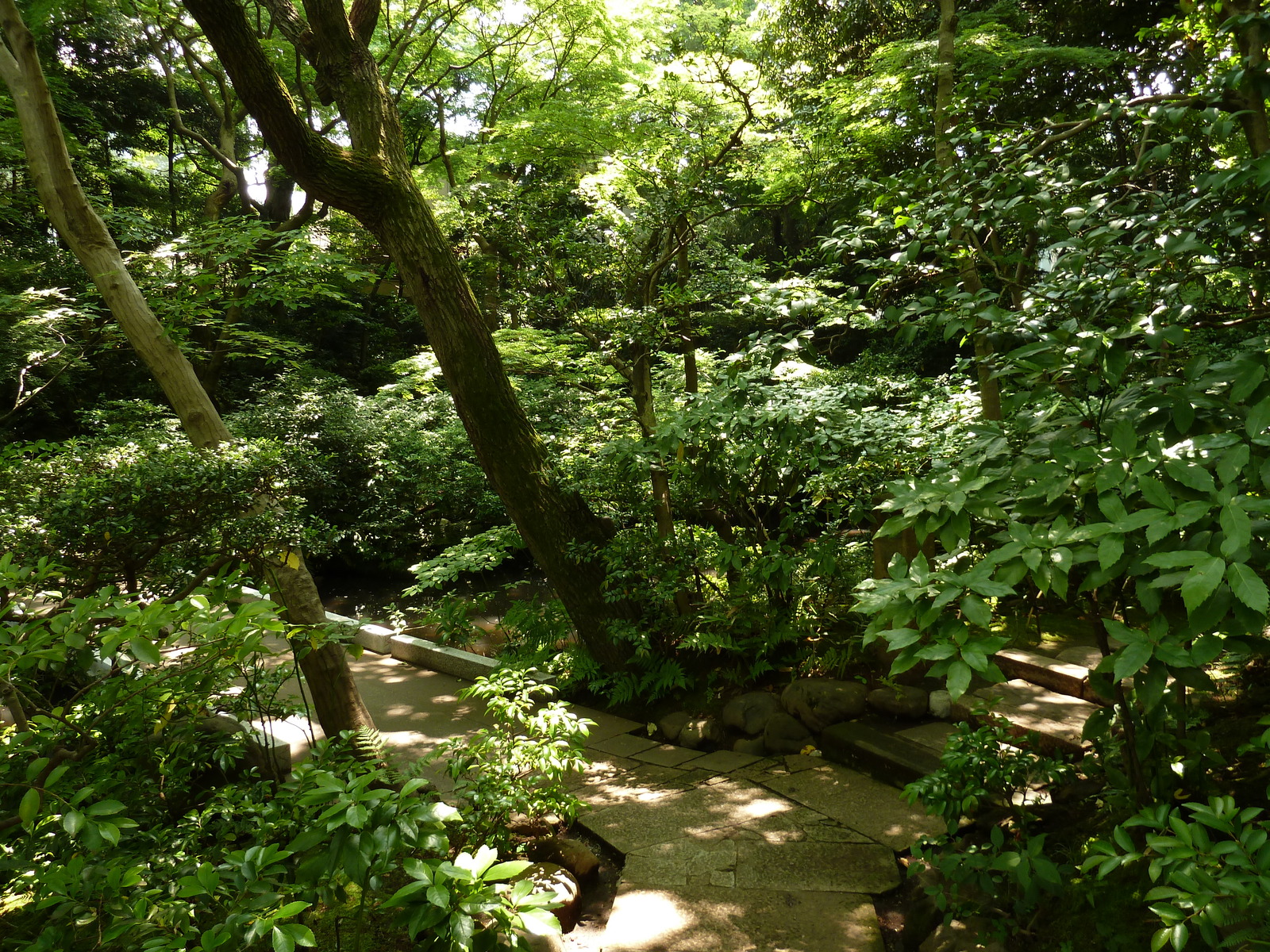 照片 日本(Japan) 东京(Tokyo) 根津美术馆(Nezu Museum) 2010-06 22