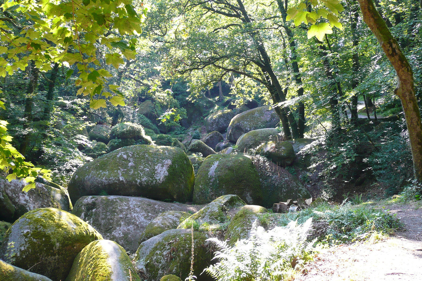 照片 法国(France) 于埃尔瓜特(Huelgoat) 2007-08 49