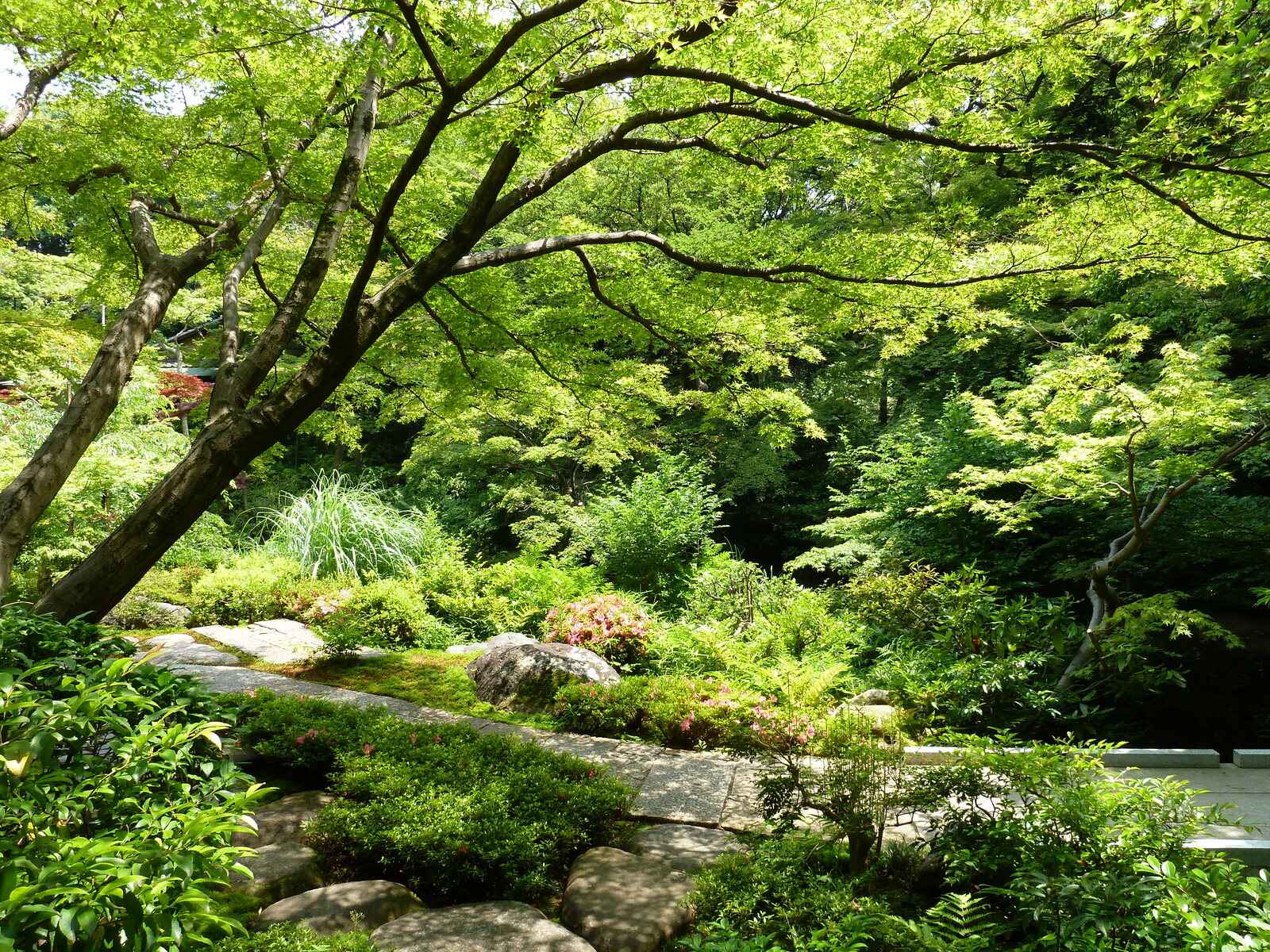 照片 日本(Japan) 东京(Tokyo) 根津美术馆(Nezu Museum) 2010-06 2