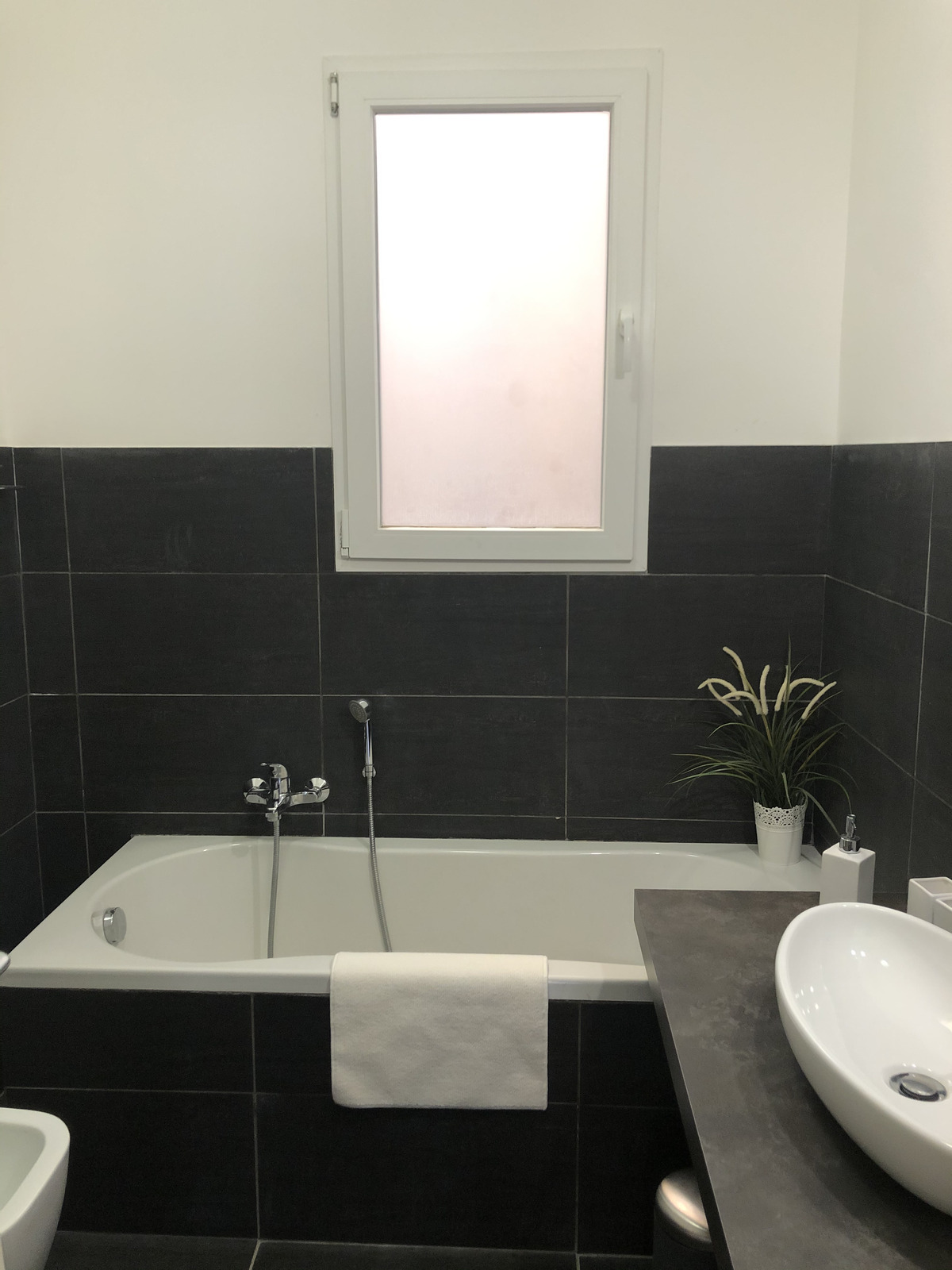 照片 意大利(Italy) 西西里岛(Sicily) 诺托(Noto) 2020-02 269