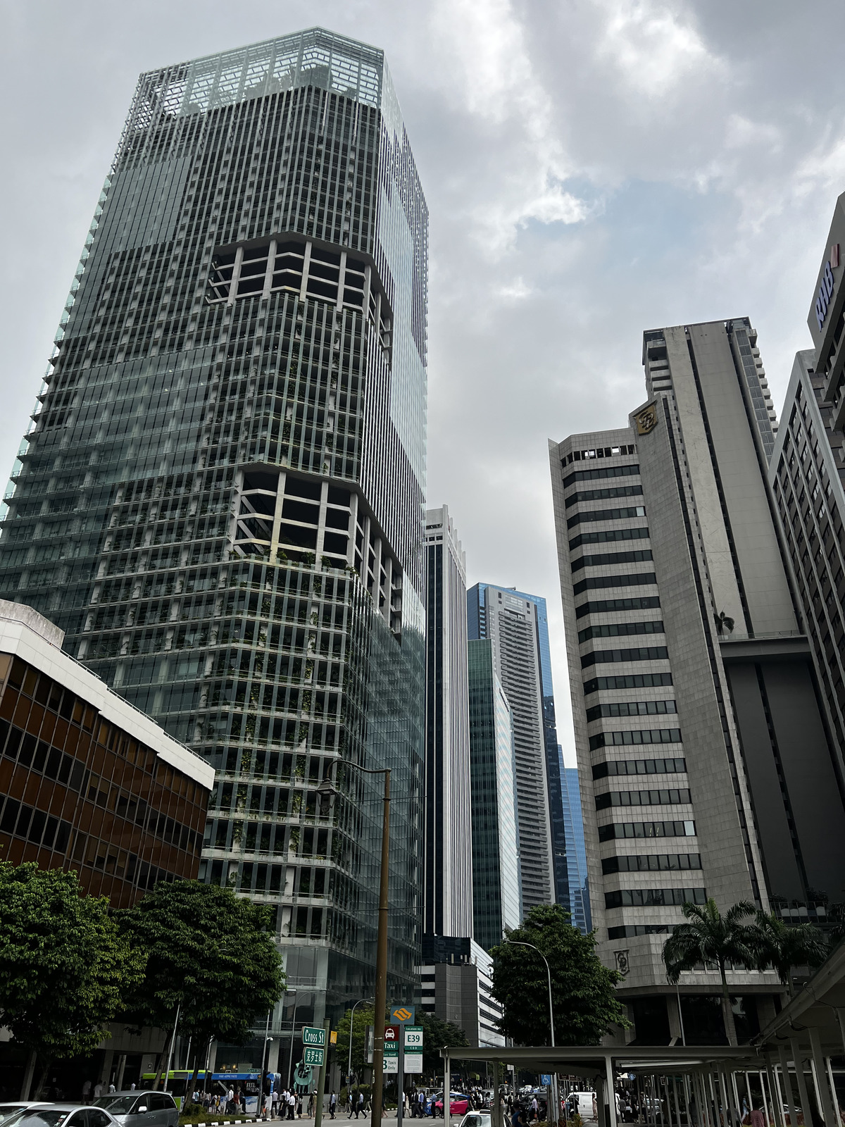 照片 新加坡(Singapore) 市中心(Downtown) 2023-01 10
