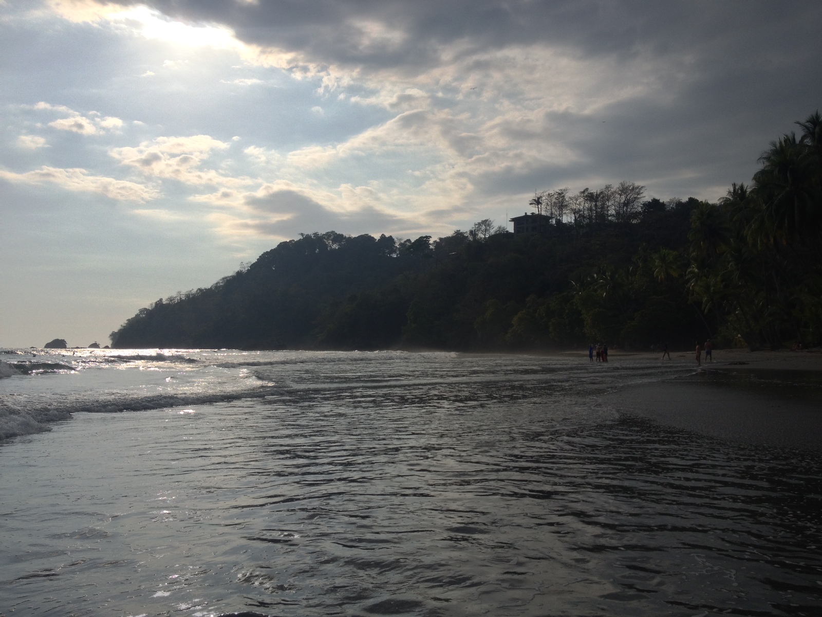 照片 哥斯达黎加(Costa Rica) 曼努埃尔安东尼奥(Manuel Antonio) 2015-03 373
