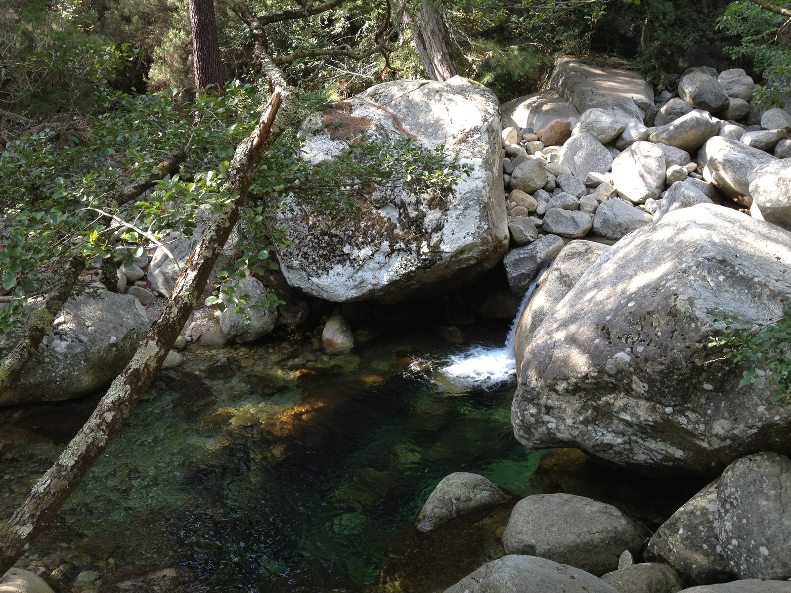照片 法国(France) 科西嘉岛(Corsica) 巴韦拉(Bavella) 2012-09 48