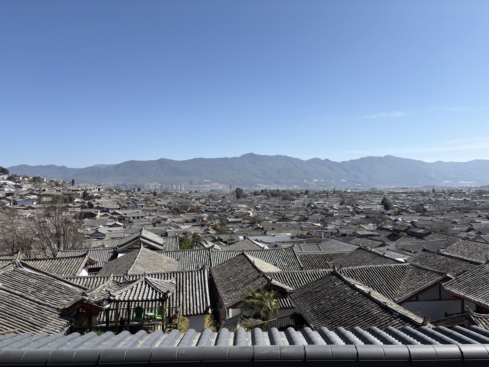 照片 中国(China) 丽江(Lijiang) 2026-01 521