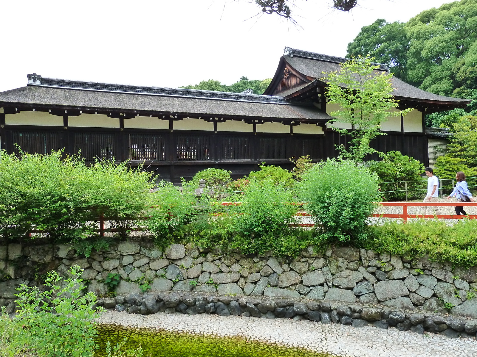 照片 日本(Japan) 京都(Kyoto) 下鸭神社(Kamomioya Shrine(Shimogamo Shrine)) 2010-06 27