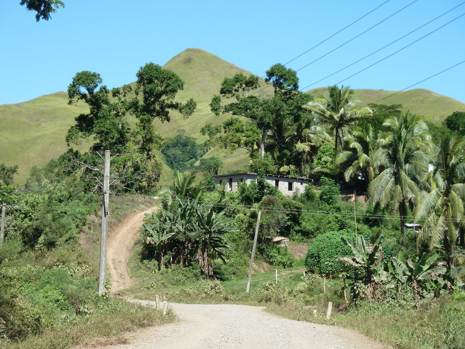照片 斐济(Fiji) 辛加东卡河(Sigatoka river) 2010-05 38