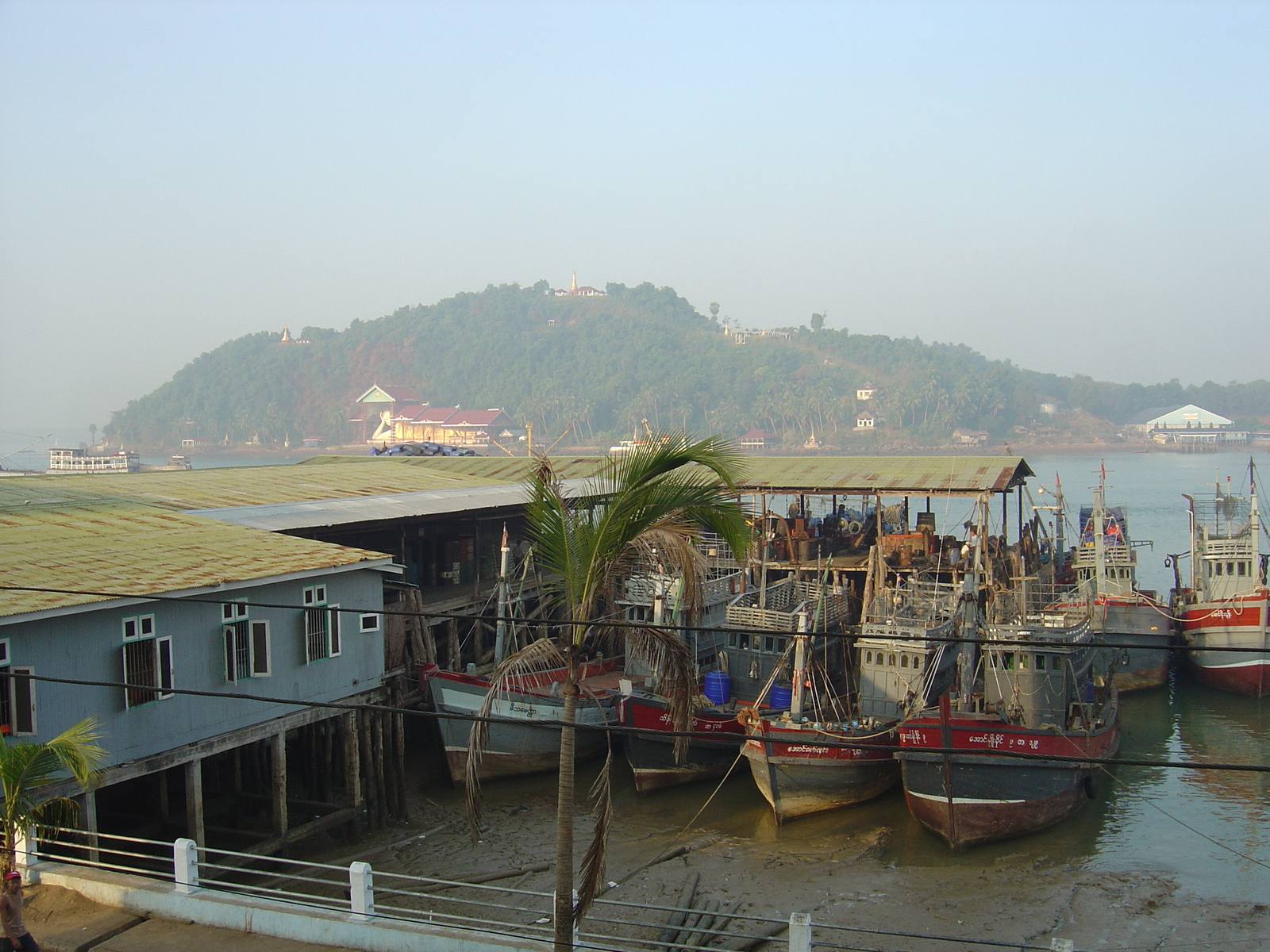 照片 缅甸(Myanmar) 丹老(Myeik (Mergui)) 2005-01 46
