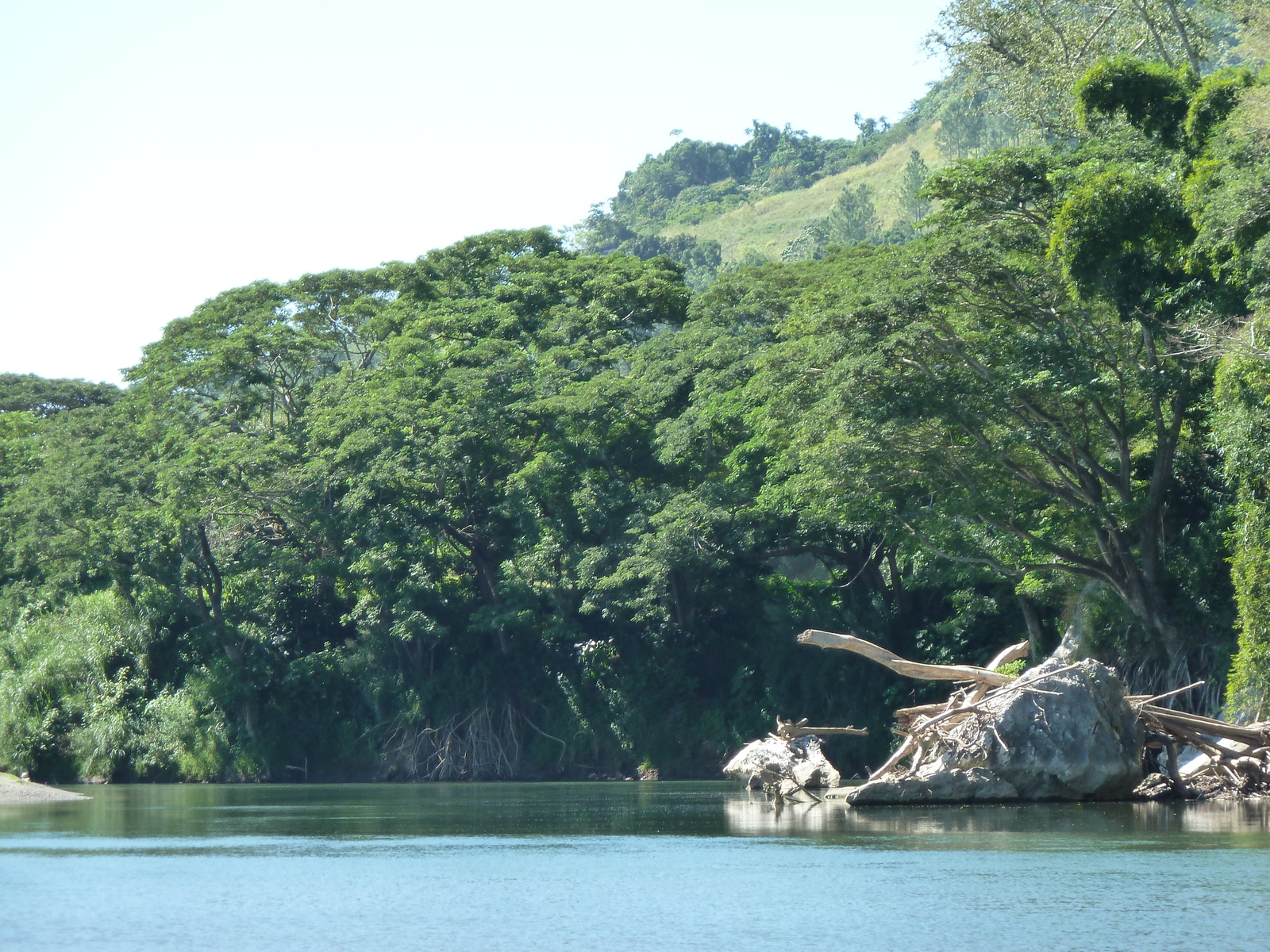 照片 斐济(Fiji) 辛加东卡河(Sigatoka river) 2010-05 90
