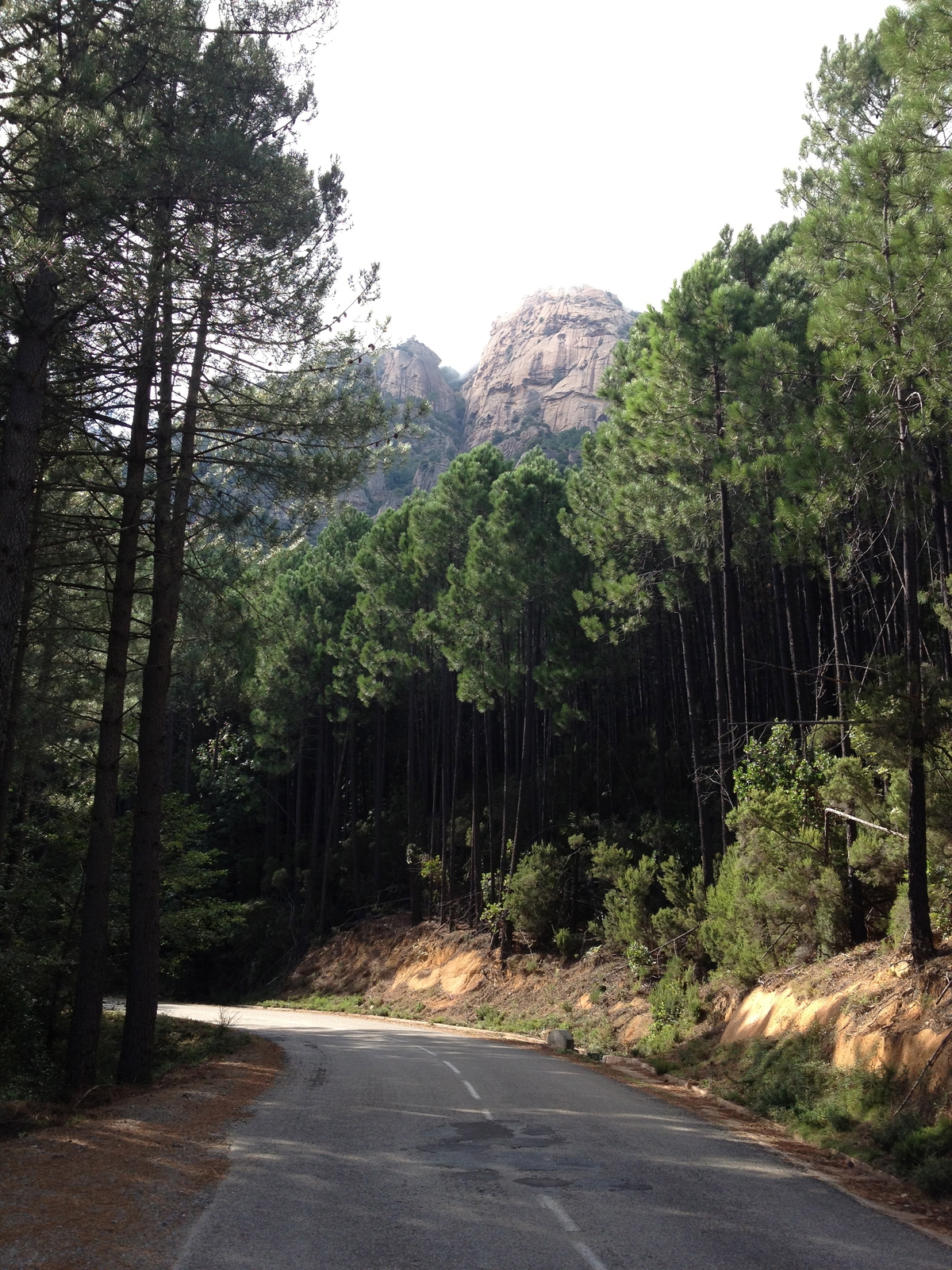 照片 法国(France) 科西嘉岛(Corsica) 巴韦拉(Bavella) 2012-09 33