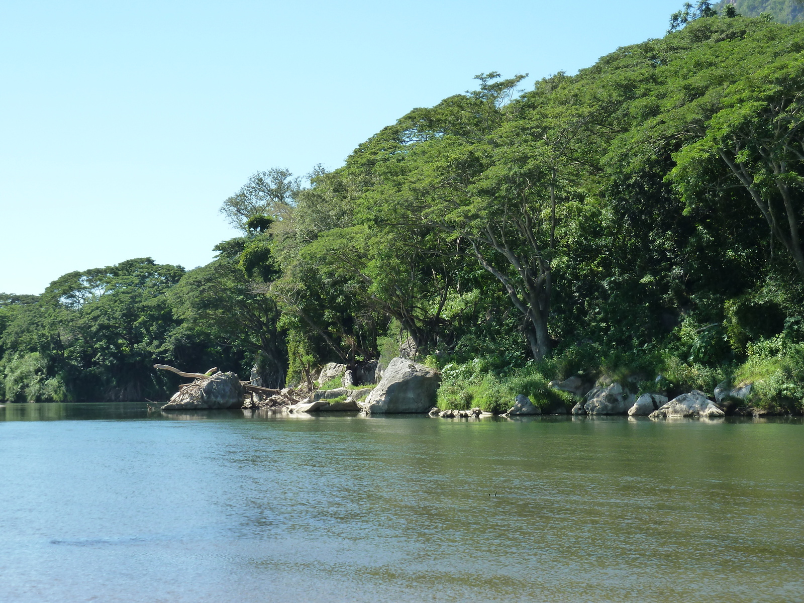 照片 斐济(Fiji) 辛加东卡河(Sigatoka river) 2010-05 99