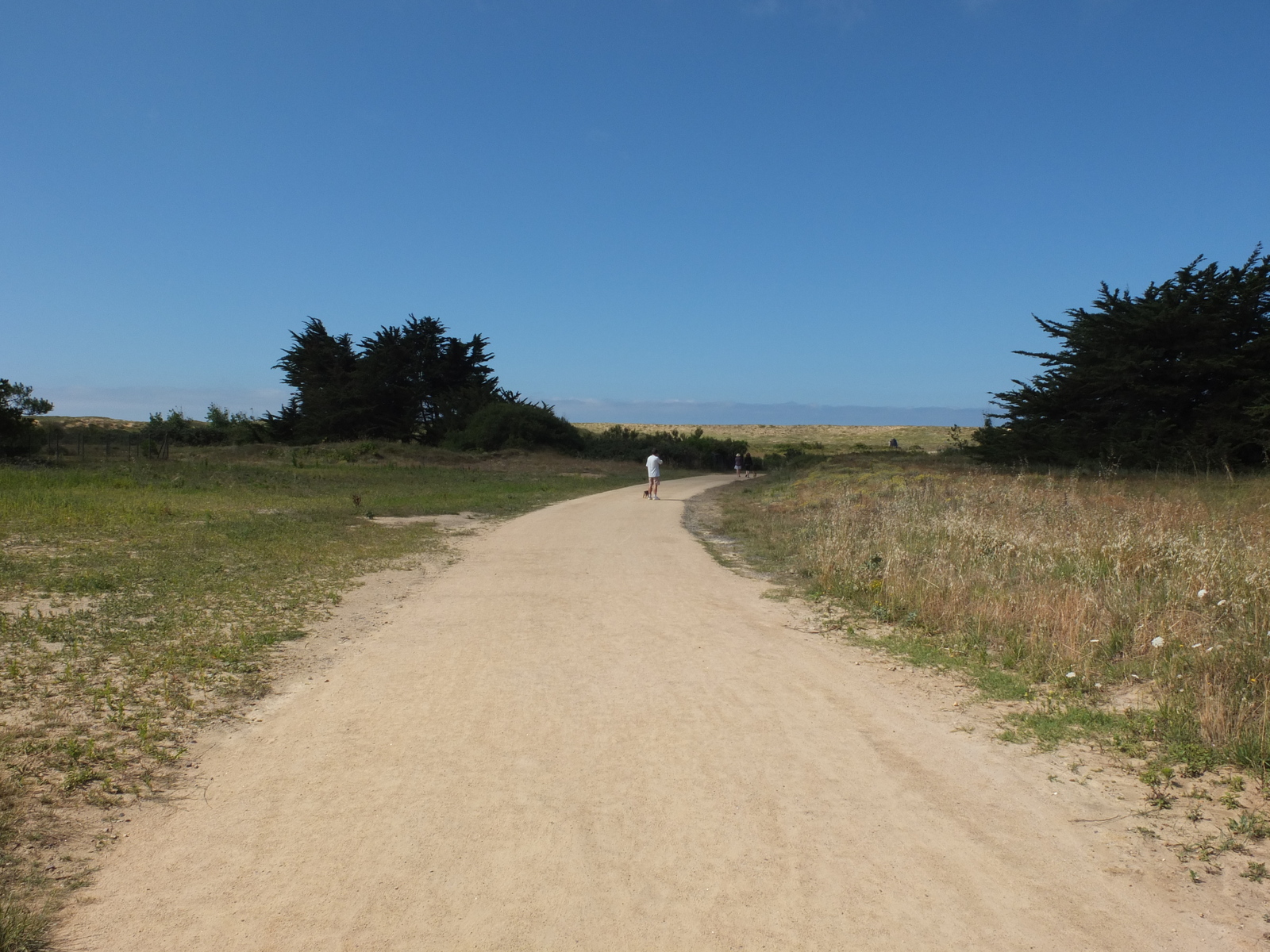 照片 法国(France) 圣吉勒-克鲁瓦德维(Saint Gilles Croix de Vie) 2012-07 4