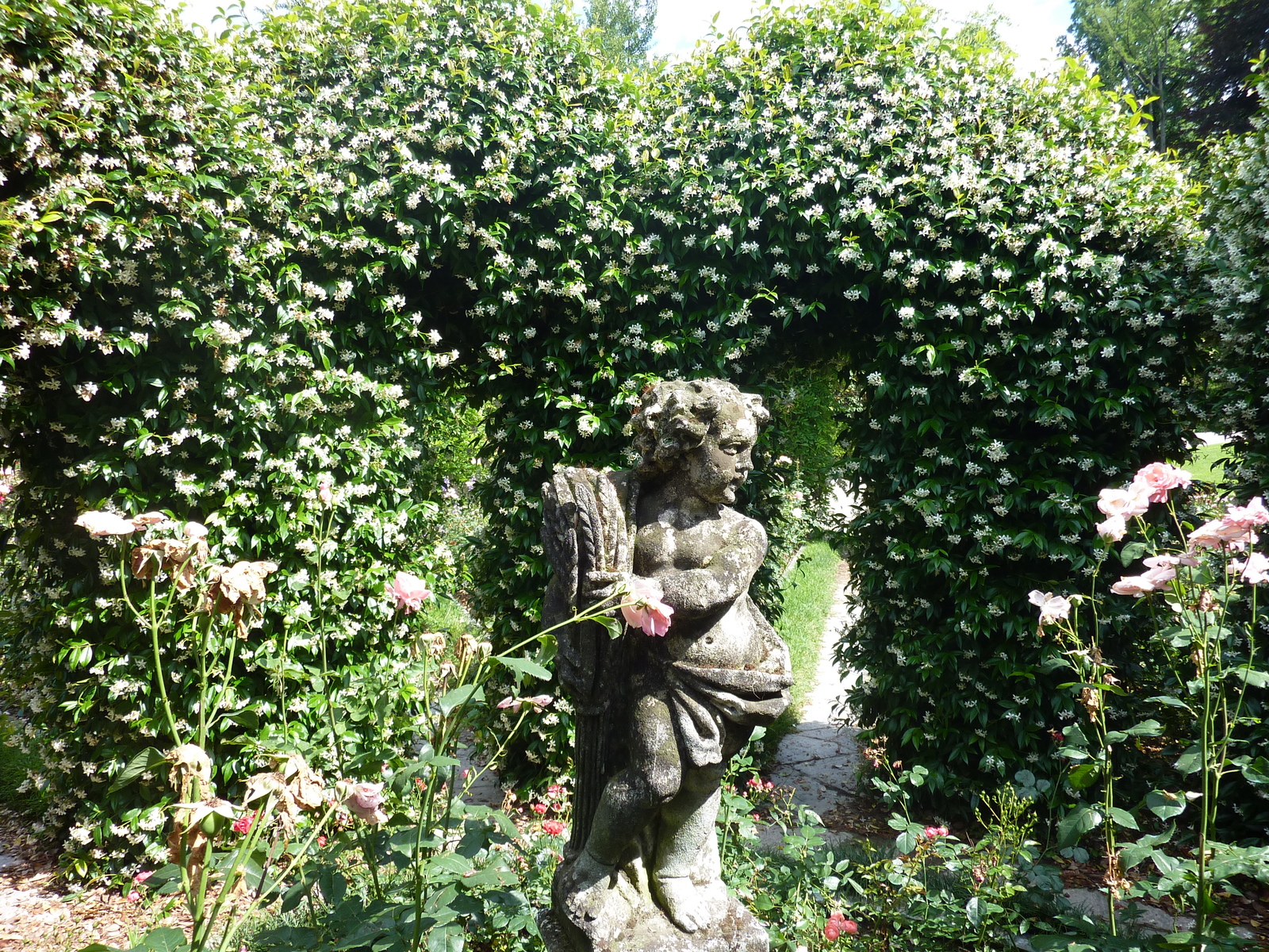 照片 意大利(Italy) 帕拉维奇诺别墅(Villa Pallavicino) 2009-06 121