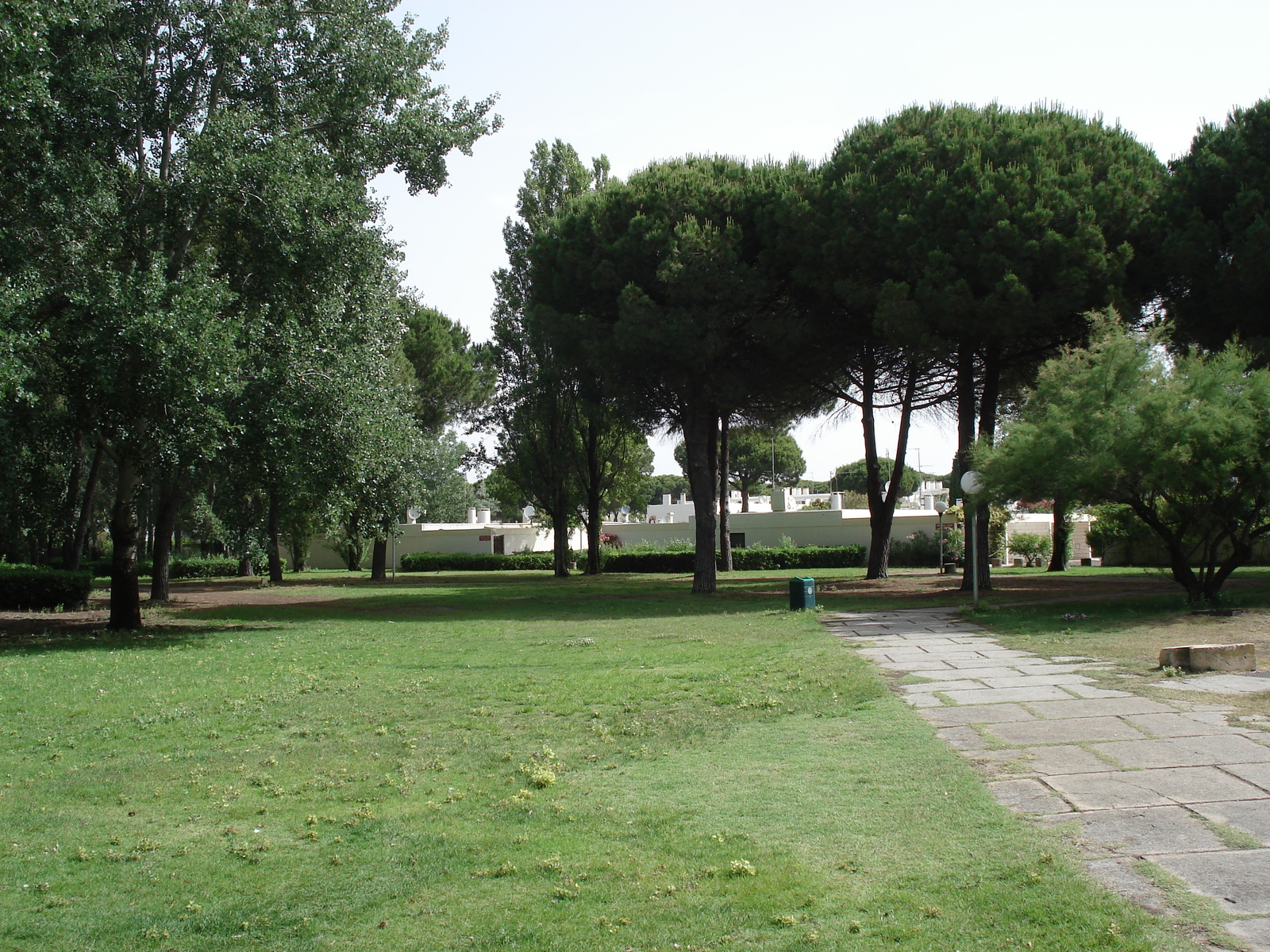 照片 法国(France) 拉格朗德莫特(La Grande Motte) 2006-06 66
