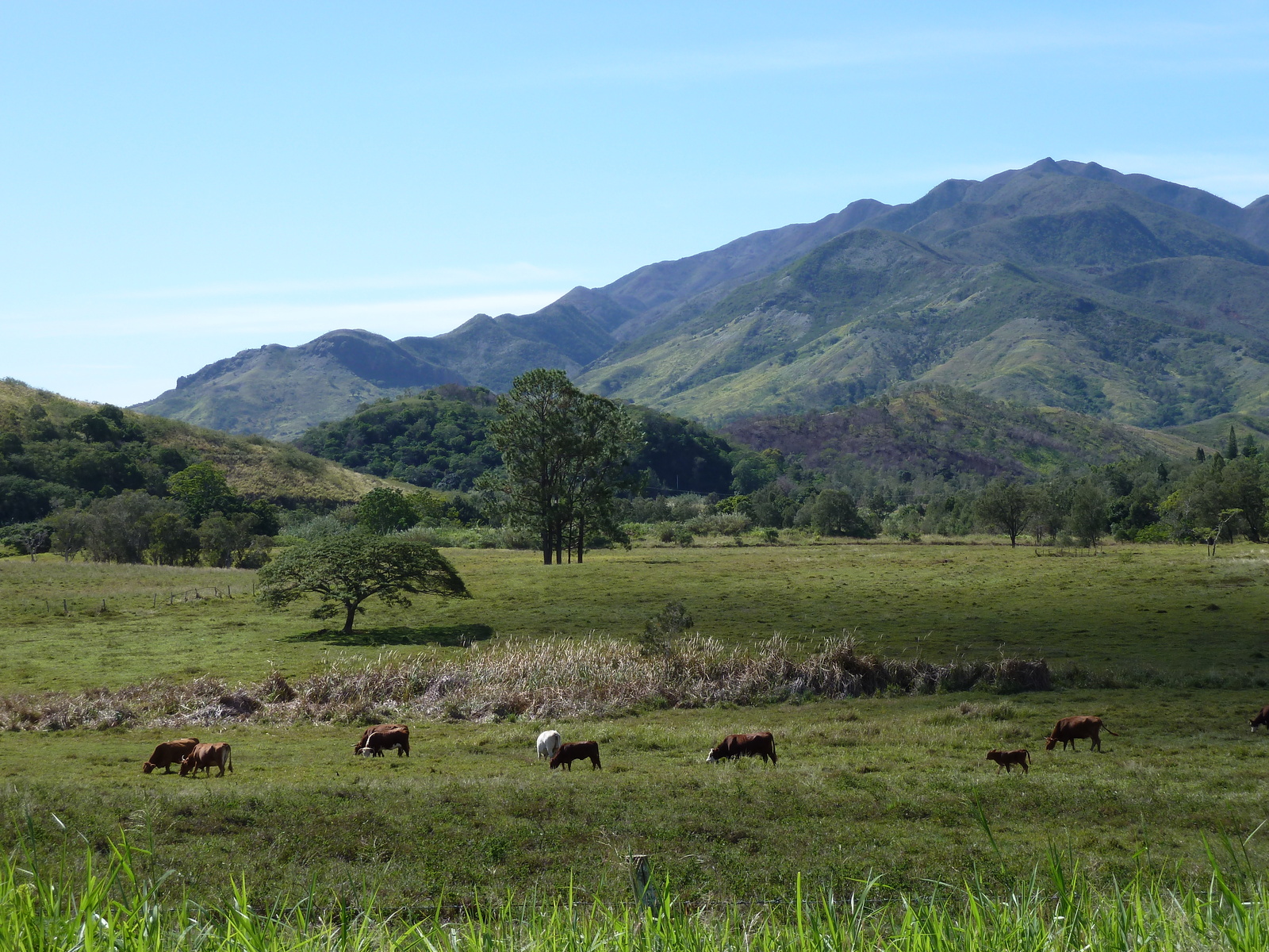 照片 新喀里多尼亚(New Caledonia) 通图塔至蒂奥公路(Tontouta to Thio road) 2010-05 22