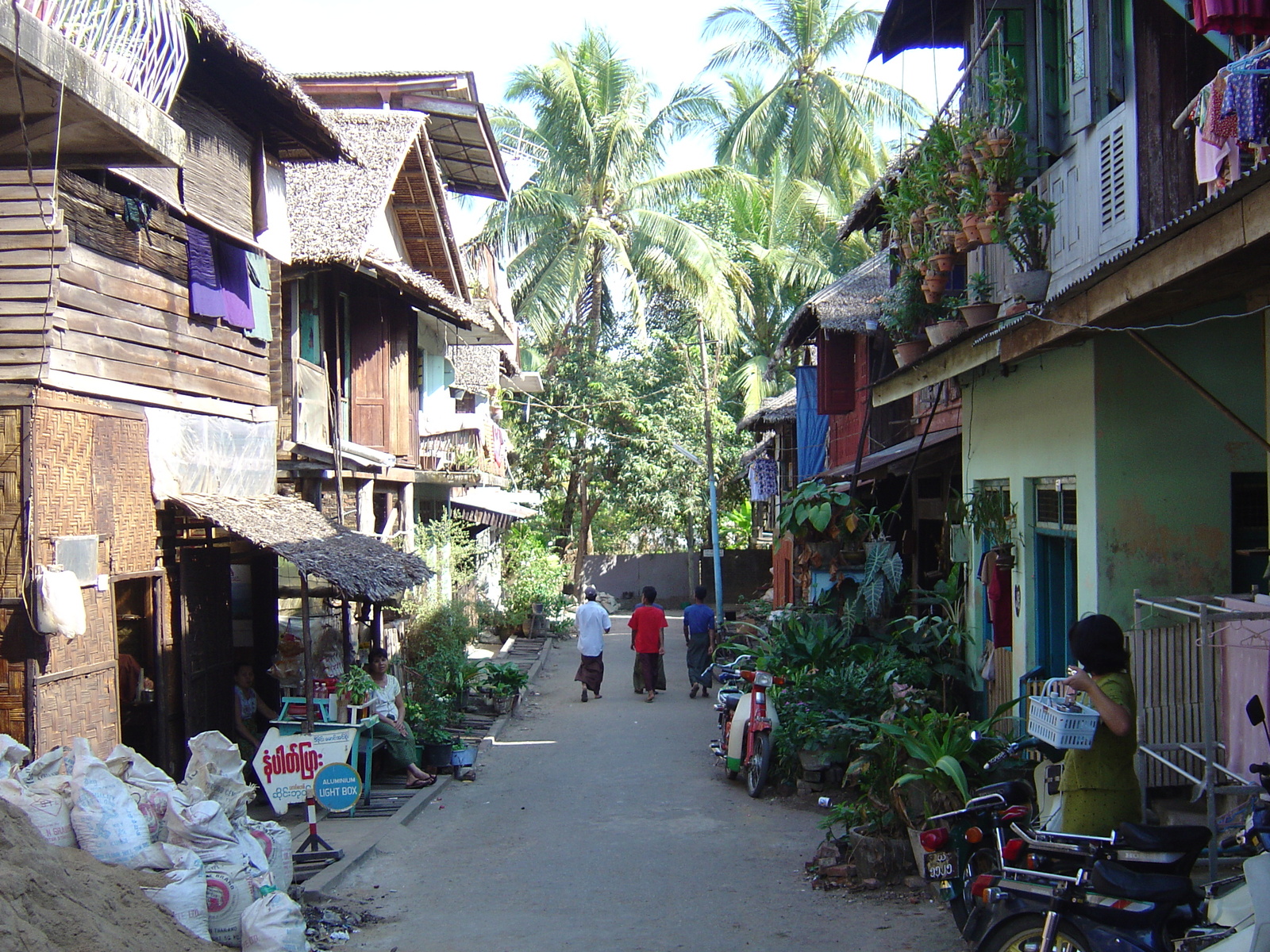 照片 缅甸(Myanmar) 丹老(Myeik (Mergui)) 2005-01 12