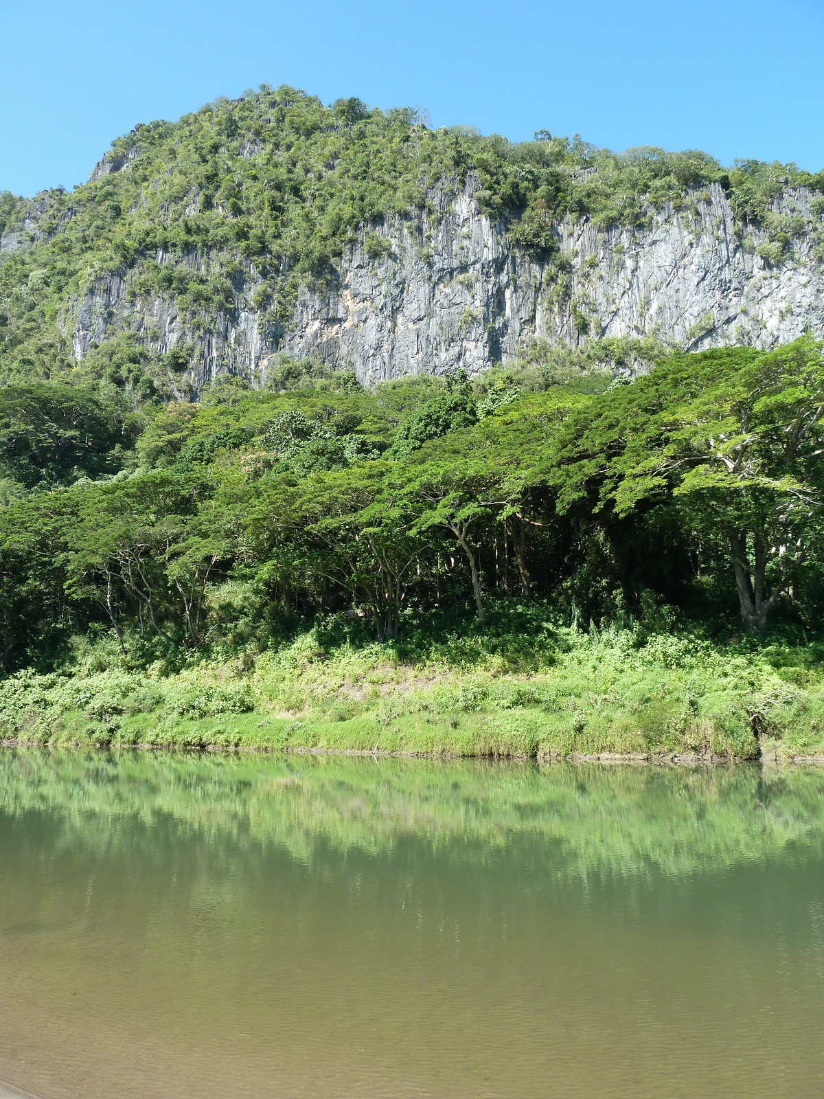 照片 斐济(Fiji) 辛加东卡河(Sigatoka river) 2010-05 103