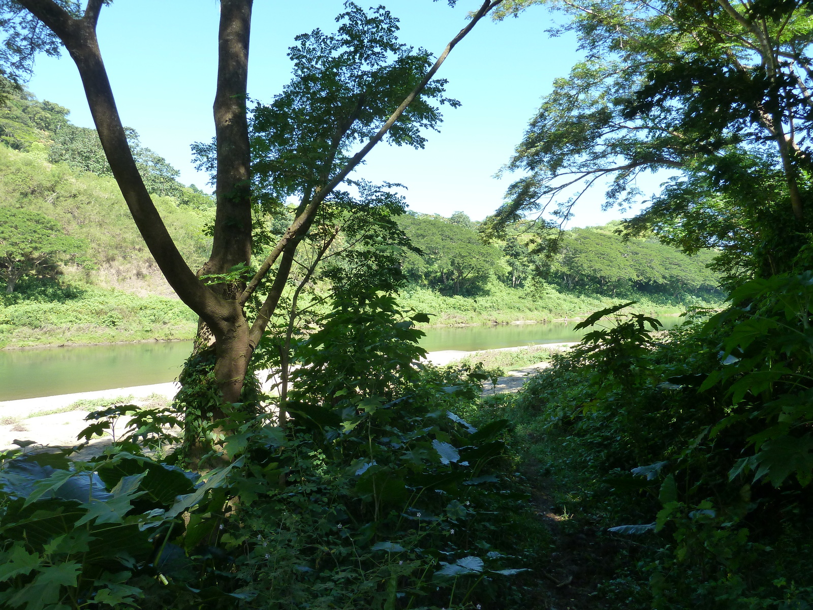 照片 斐济(Fiji) 辛加东卡河(Sigatoka river) 2010-05 64