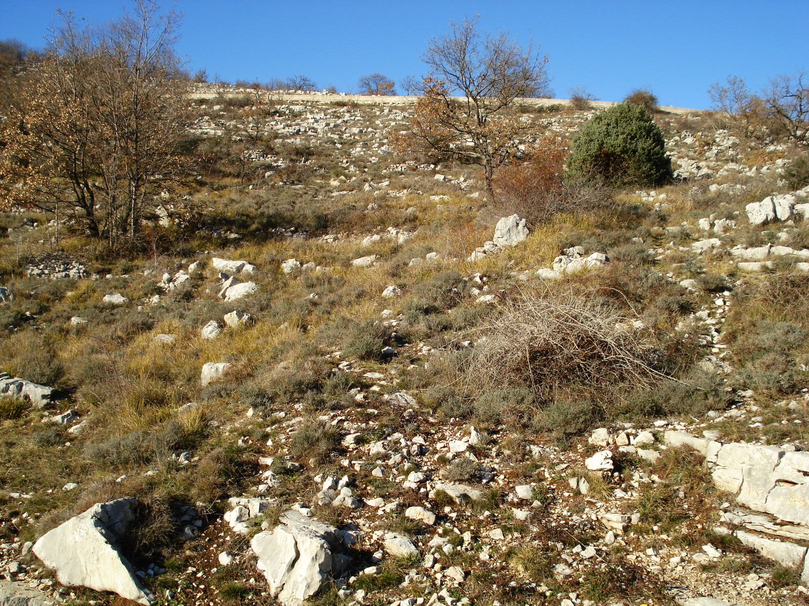 照片 法国(France) 蔚蓝海岸(French Riviera) 旺斯山口公路(Col de Vence road) 2007-01 48