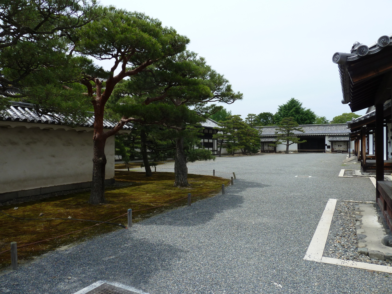 照片 日本(Japan) 京都(Kyoto) 二条城(Nijo Castle) 2010-06 55