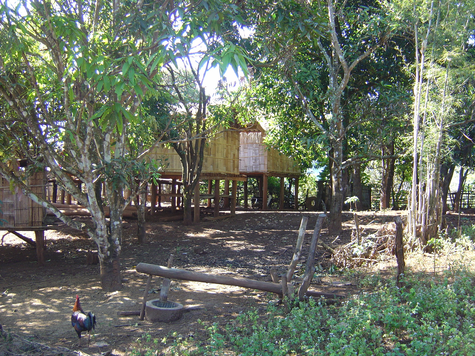 照片 泰国(Thailand) 邦玛帕(Pang Mapha) 2005-12 18