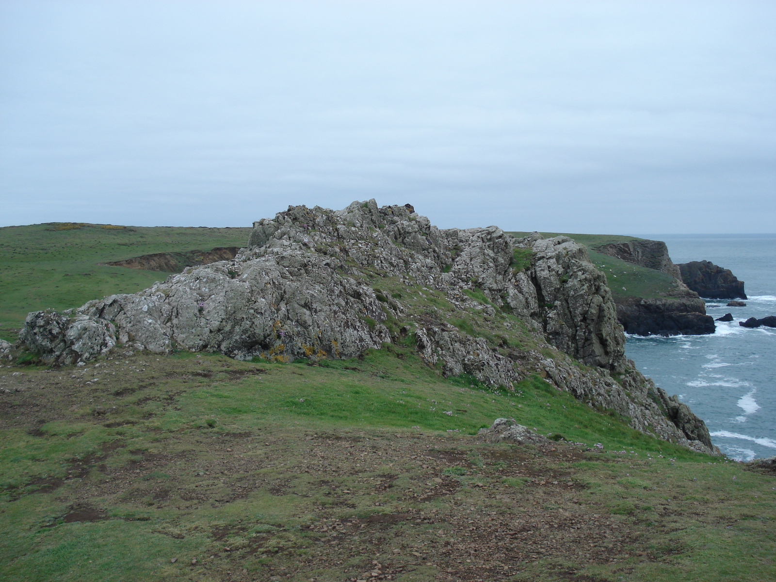 照片 英国(United Kingdom) 彭布罗克郡(Pembrokeshire) 马丁斯黑文(Martins Havens) 2006-05 19