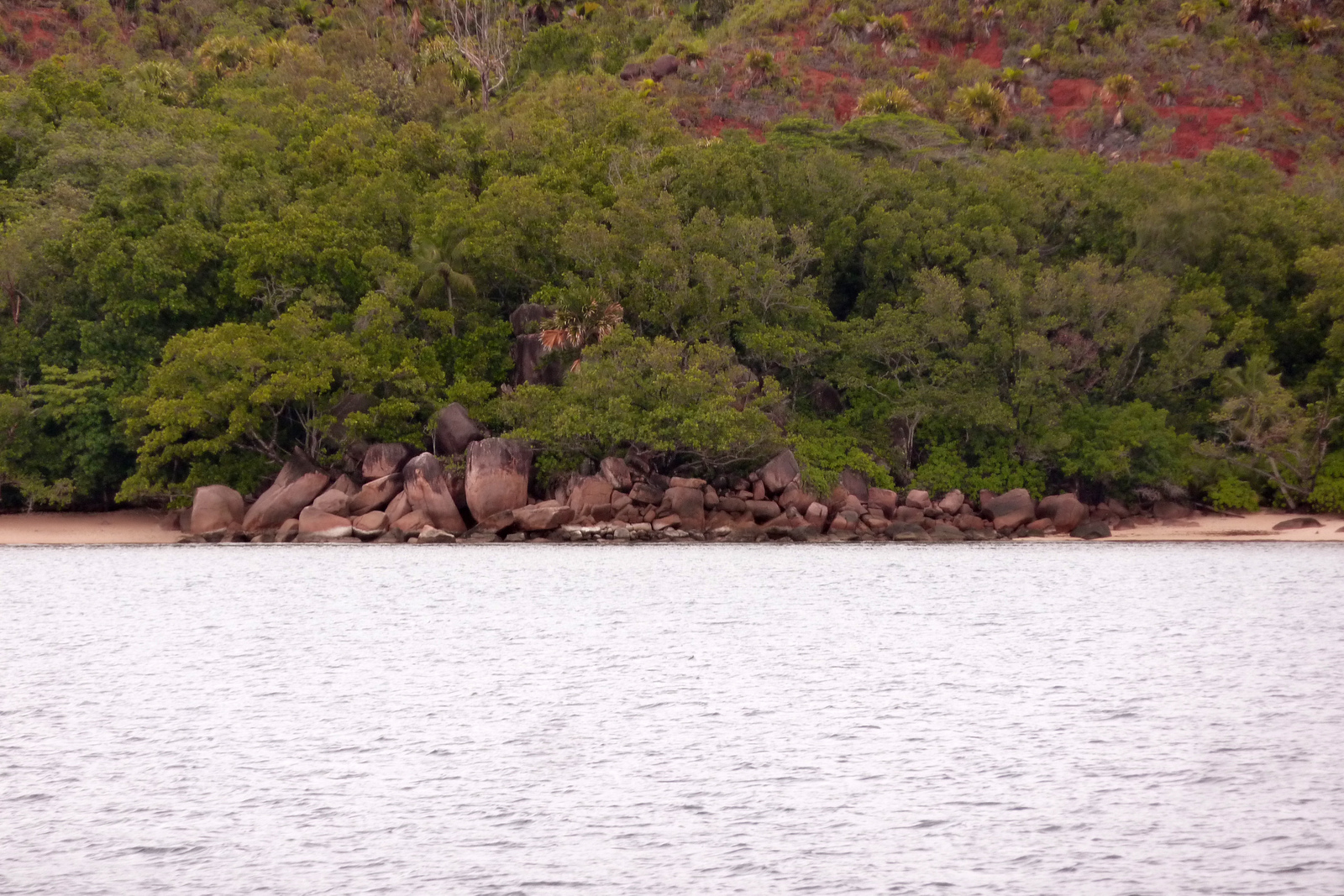 照片 塞舌尔(Seychelles) 居里厄斯岛(Curieuse) 2011-10 49