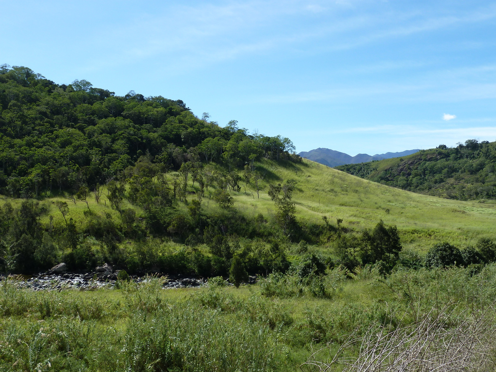 照片 新喀里多尼亚(New Caledonia) 通图塔至蒂奥公路(Tontouta to Thio road) 2010-05 119