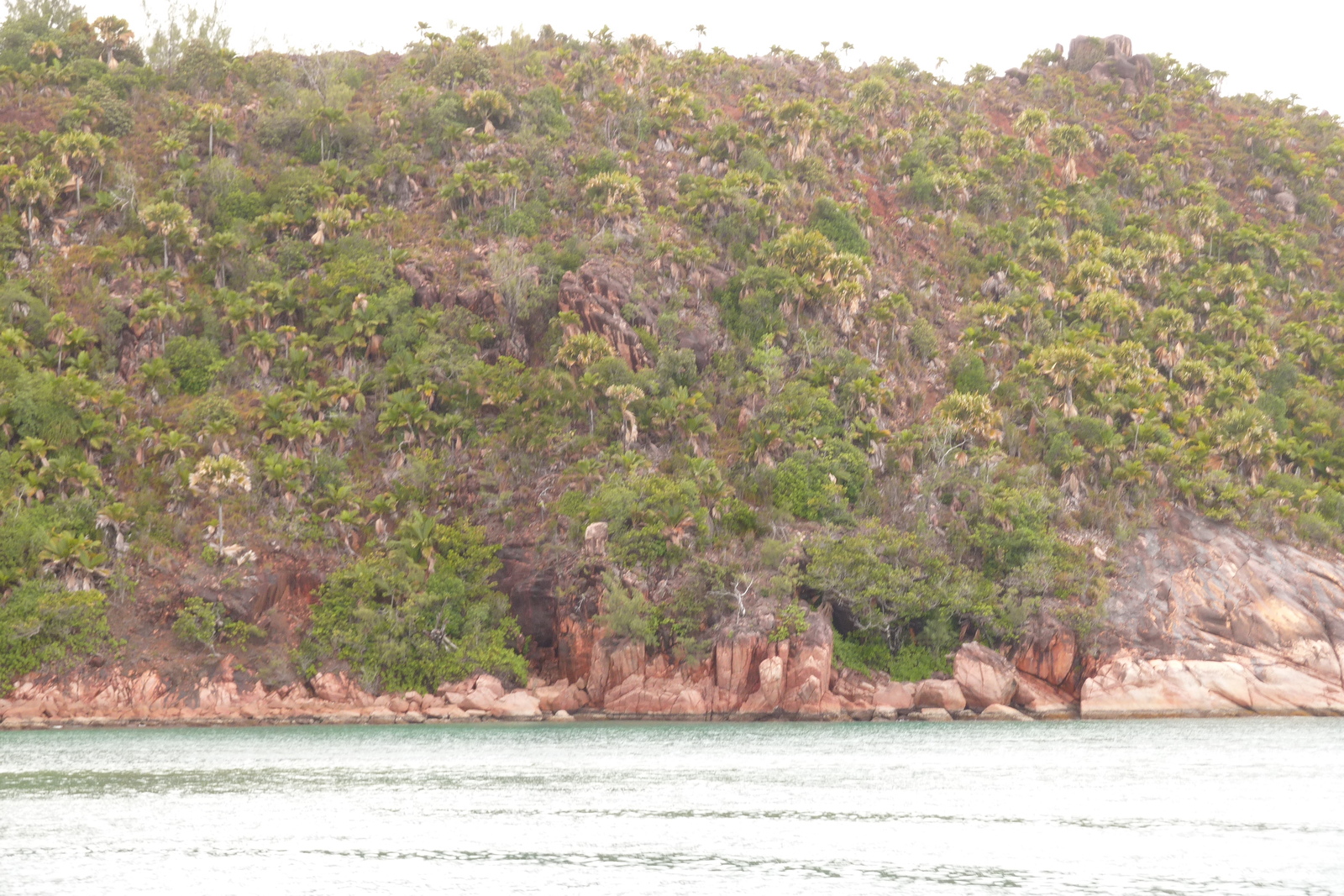 照片 塞舌尔(Seychelles) 波塞森湾(Anse Possession) 2011-10 92