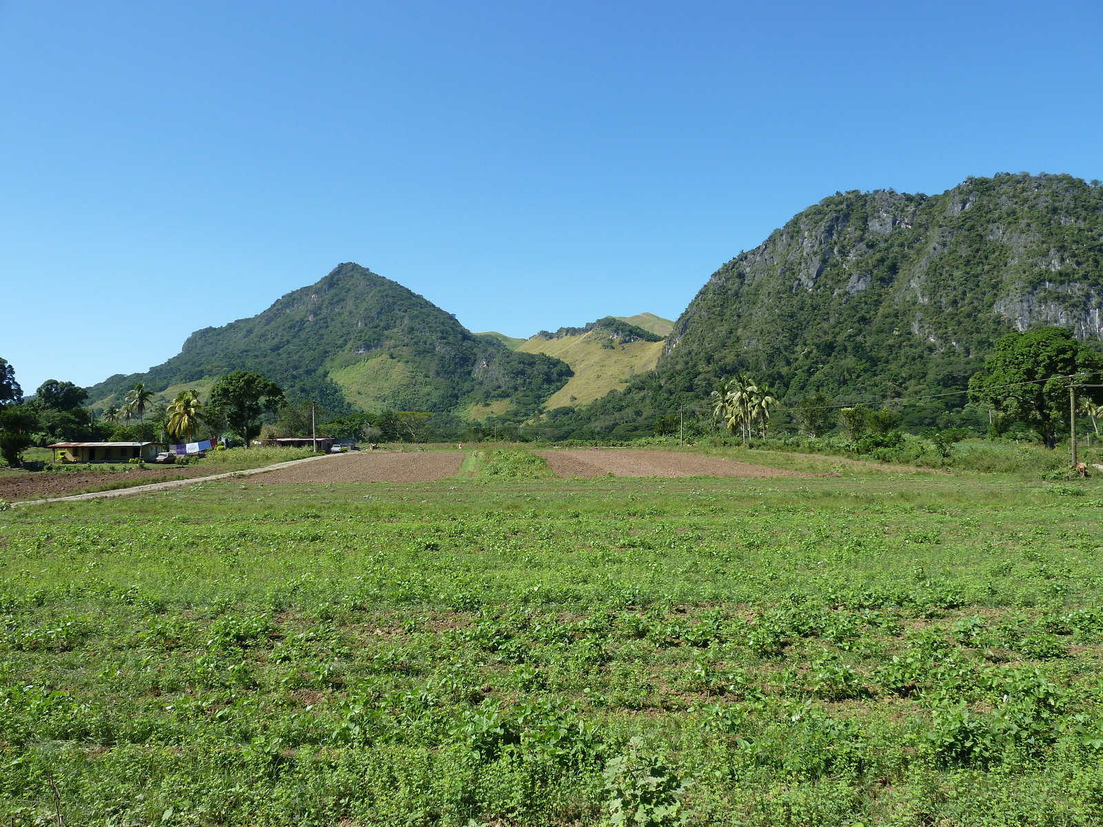 照片 斐济(Fiji) 辛加东卡河(Sigatoka river) 2010-05 6