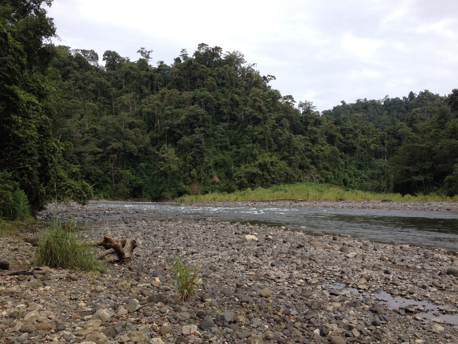 照片 哥斯达黎加(Costa Rica) 帕夸雷河(Pacuare River) 2015-03 181