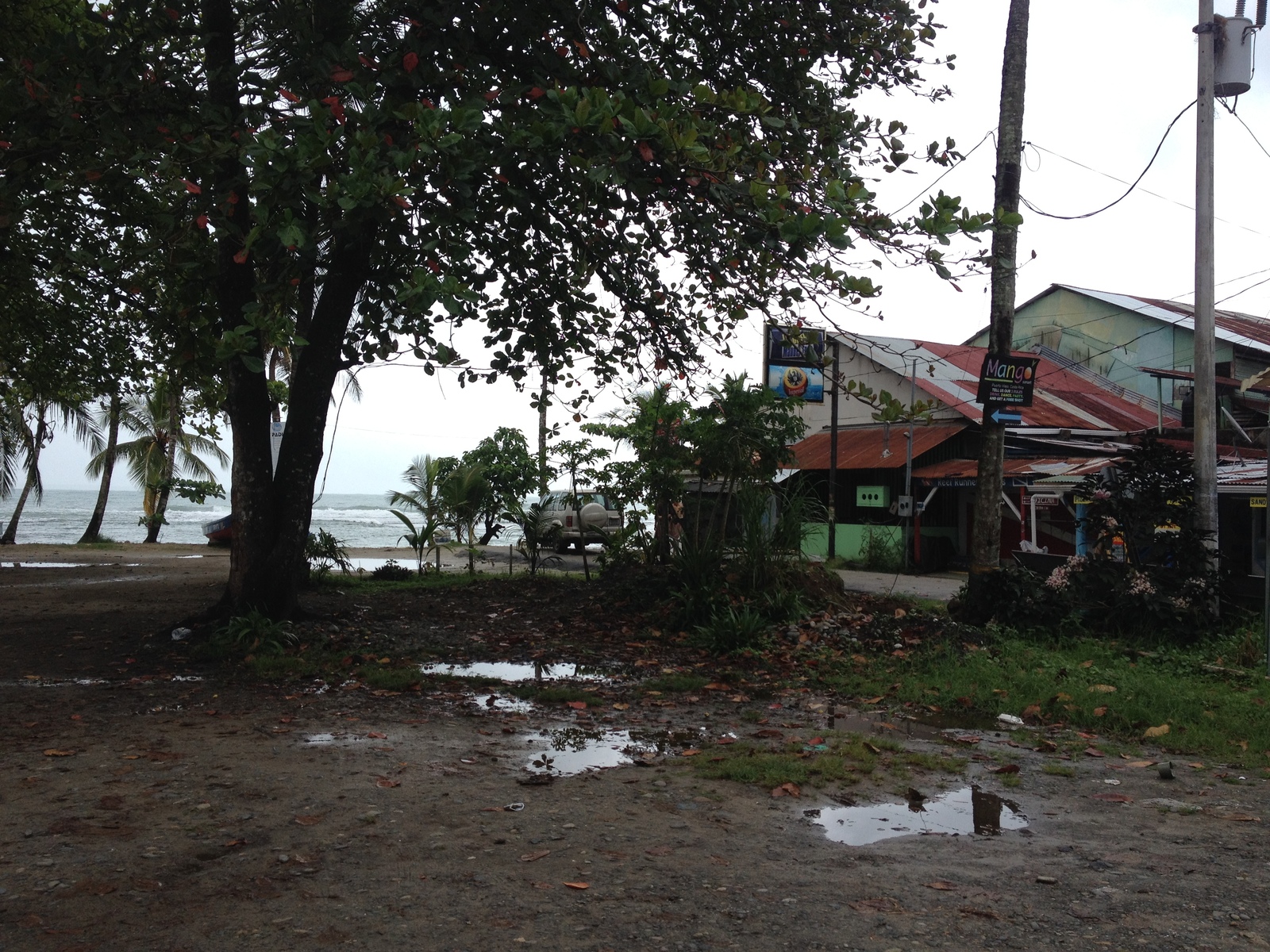 照片 哥斯达黎加(Costa Rica) 塔拉曼卡旧港(Puerto Viejo de Talamanca) 2015-03 81