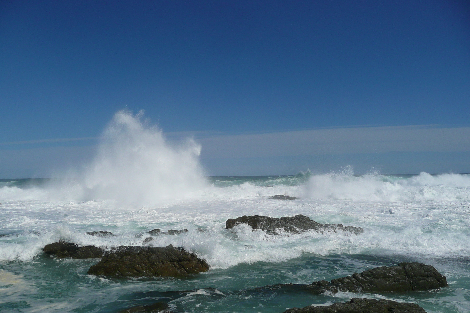 照片 南非(South Africa) 齐齐卡马国家公园(Tsitsikamma National Park) 2008-09 210