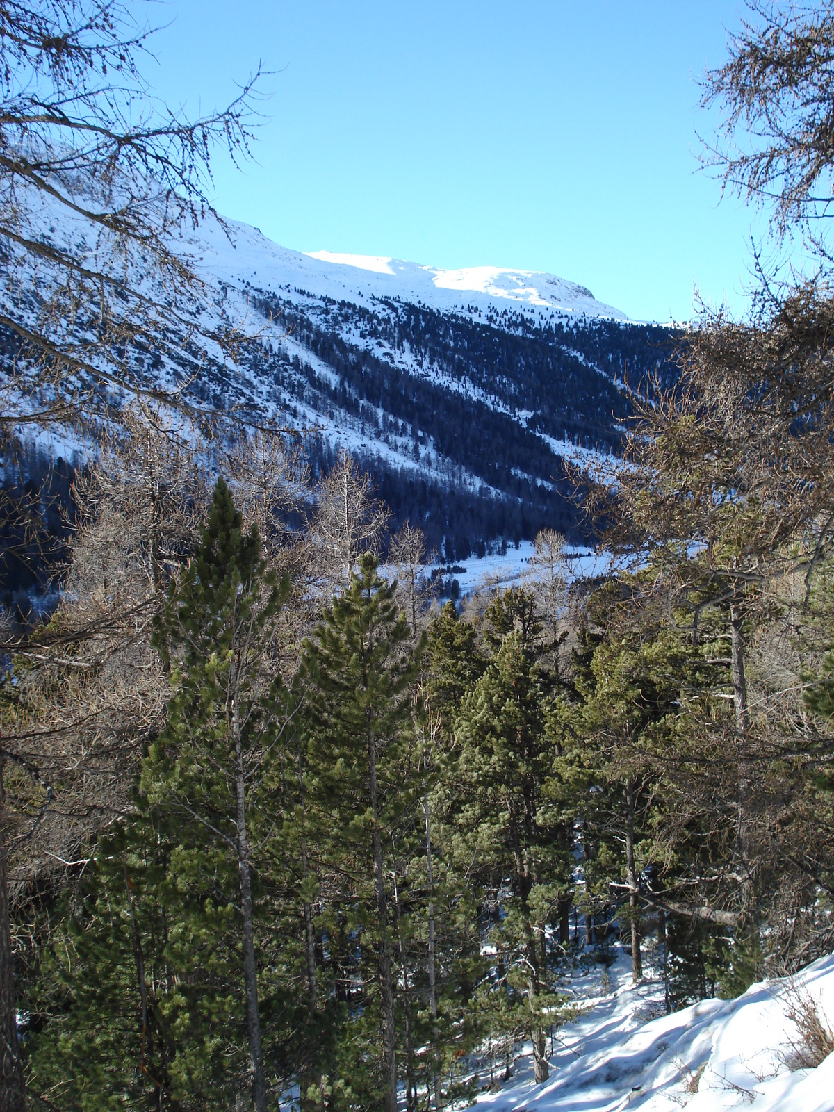 照片 瑞士(Switzerland) 蓬特雷西纳至比安科湖(From Pontresina to Lago Bianco) 2007-01 56